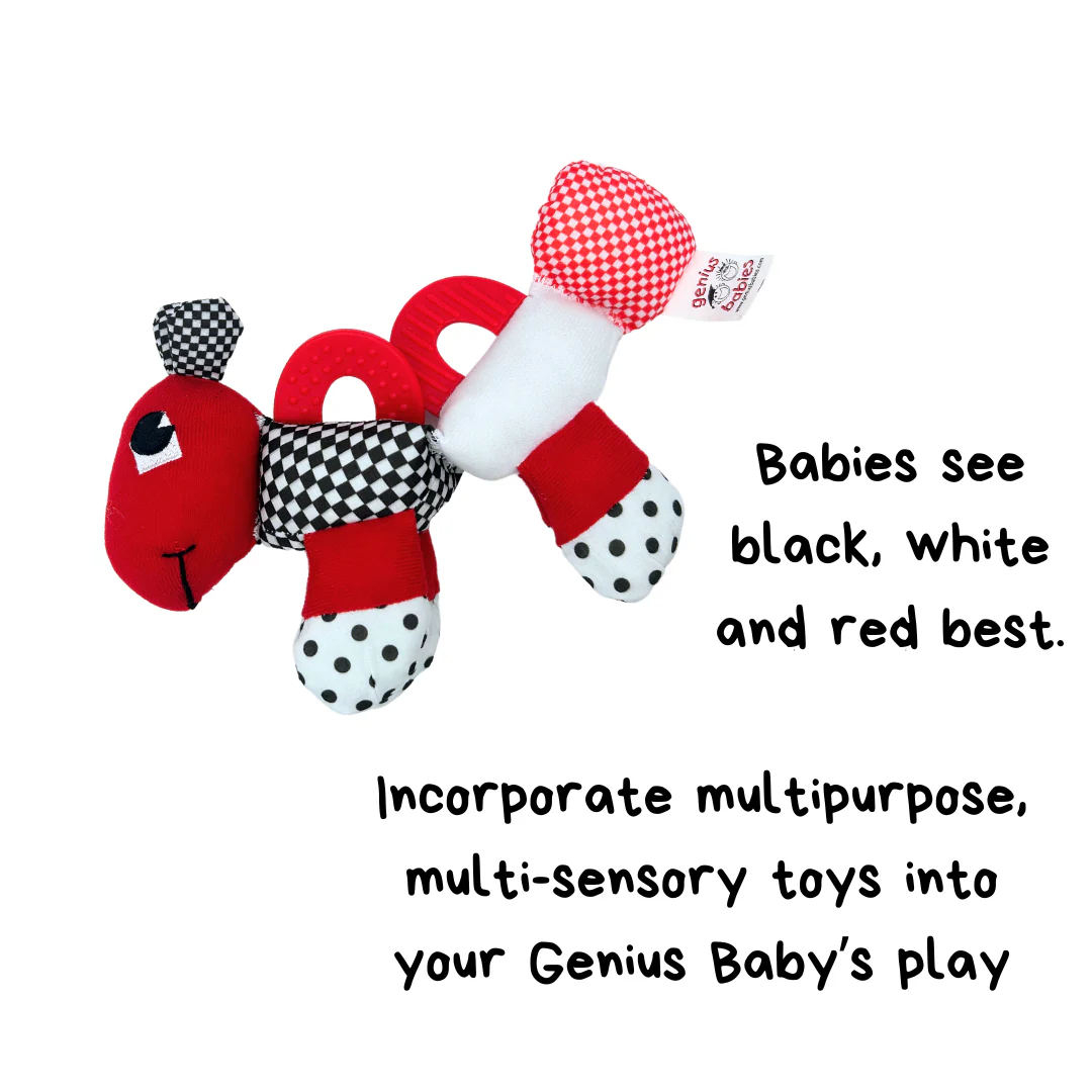 Caterpillar Teething and Sensory Toy in Black, White and Red, 9" - Image 5