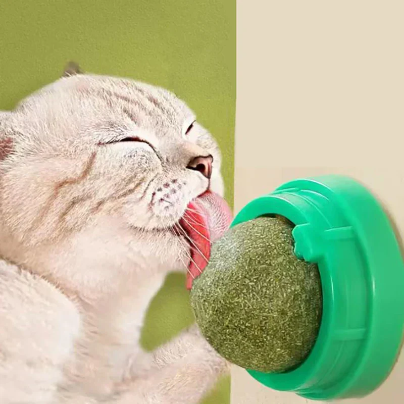 Catnip Wall Ball Treats – Digestive Aid & Fun for Cats - Image 3