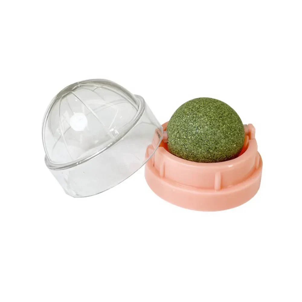 Catnip Wall Ball Treats – Natural Catnip Wall Ball For Healthy Digestion - Image 4