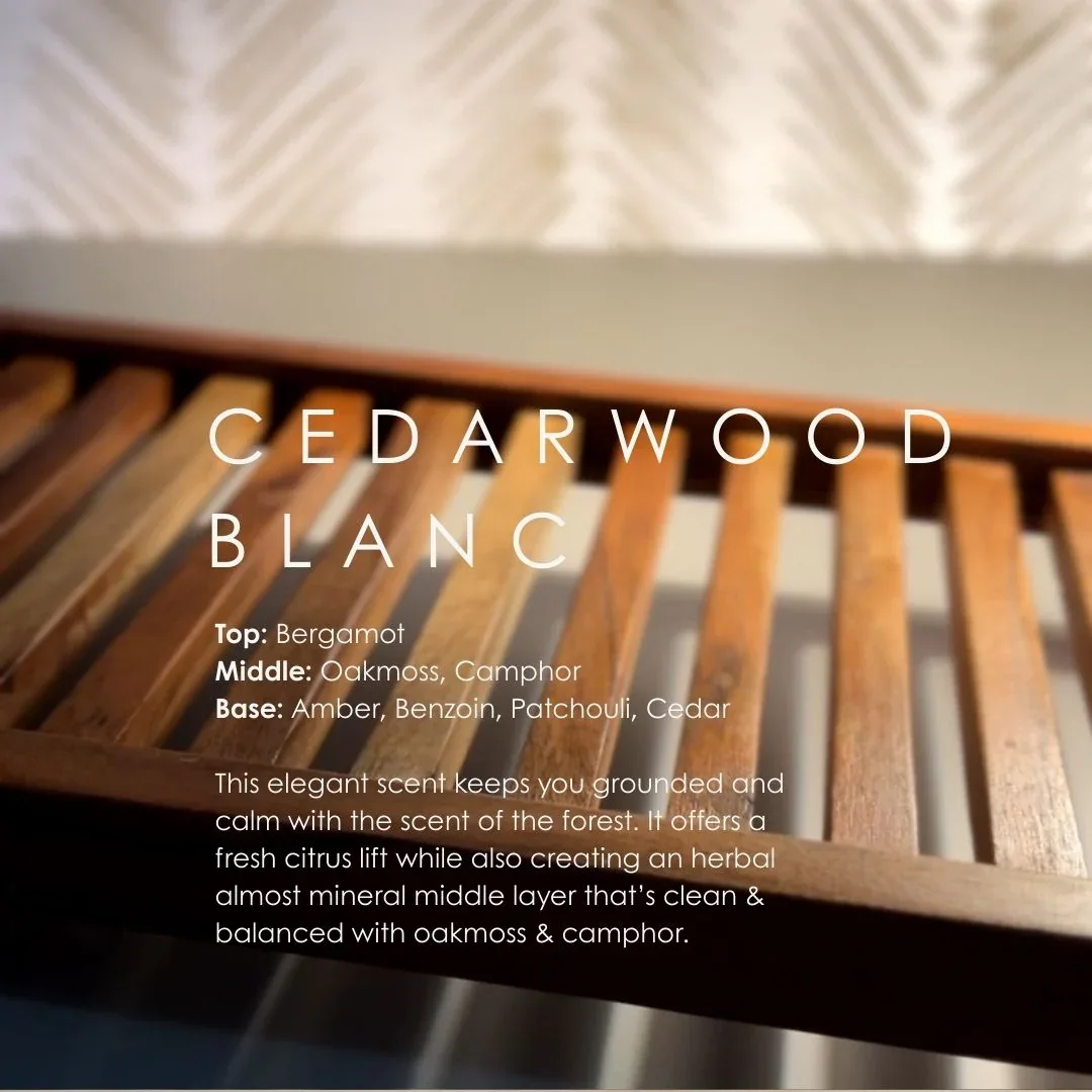Cedarwood Blanc Reed Diffuser - Image 2