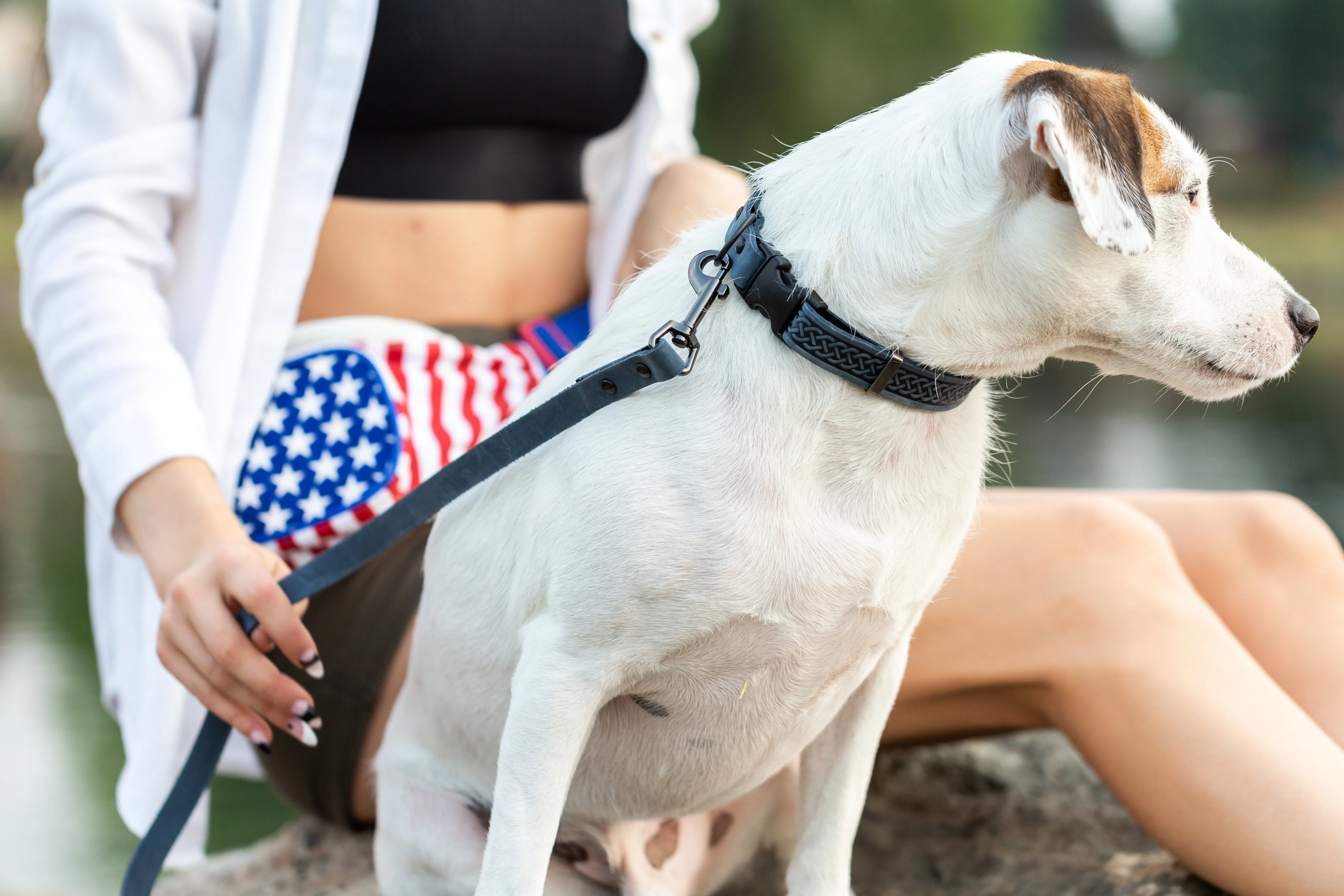 Celtic Sport Blue Jeans Leather Dog Collar - Image 5
