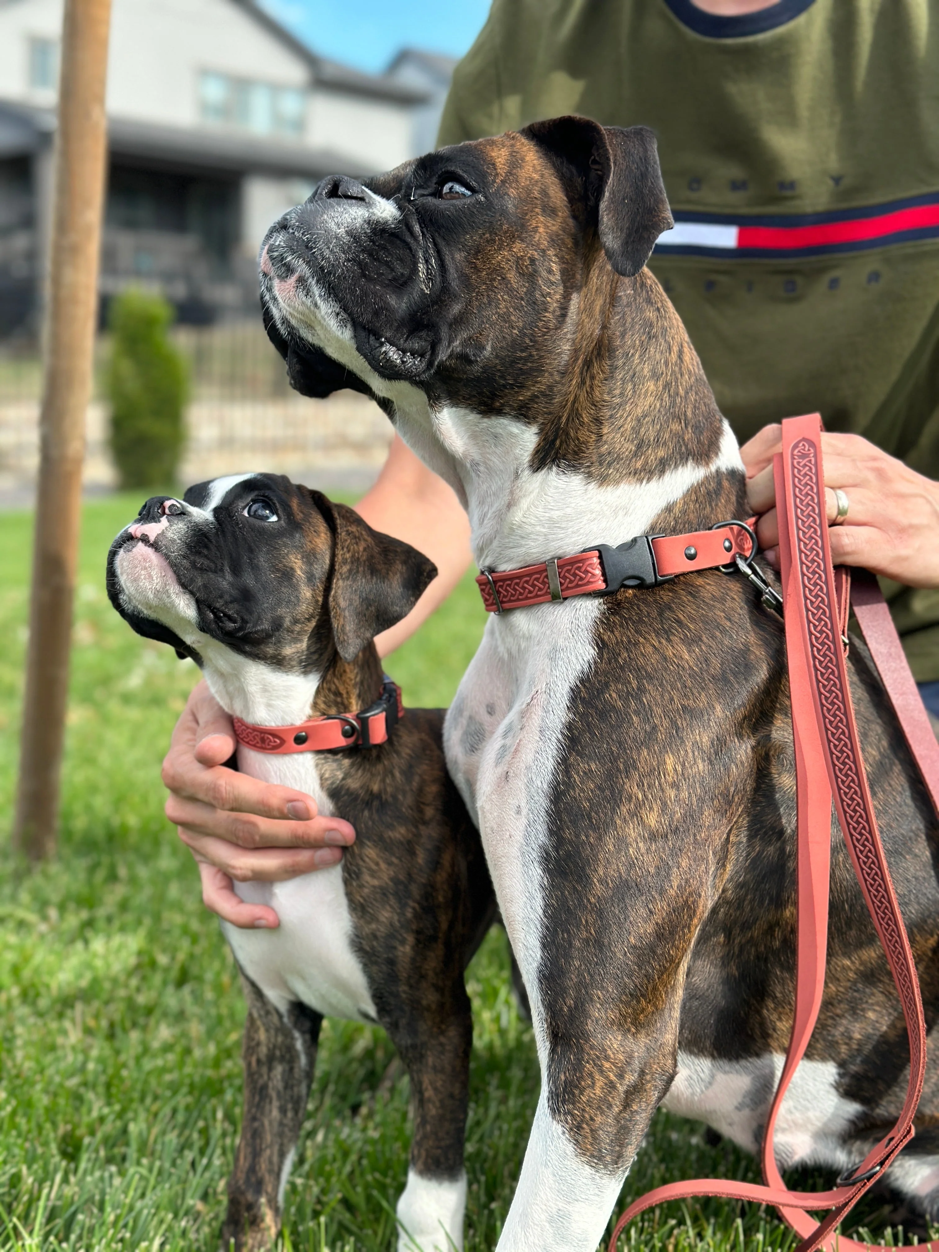 Celtic Sport Leather Collar and Leash Set - Image 2