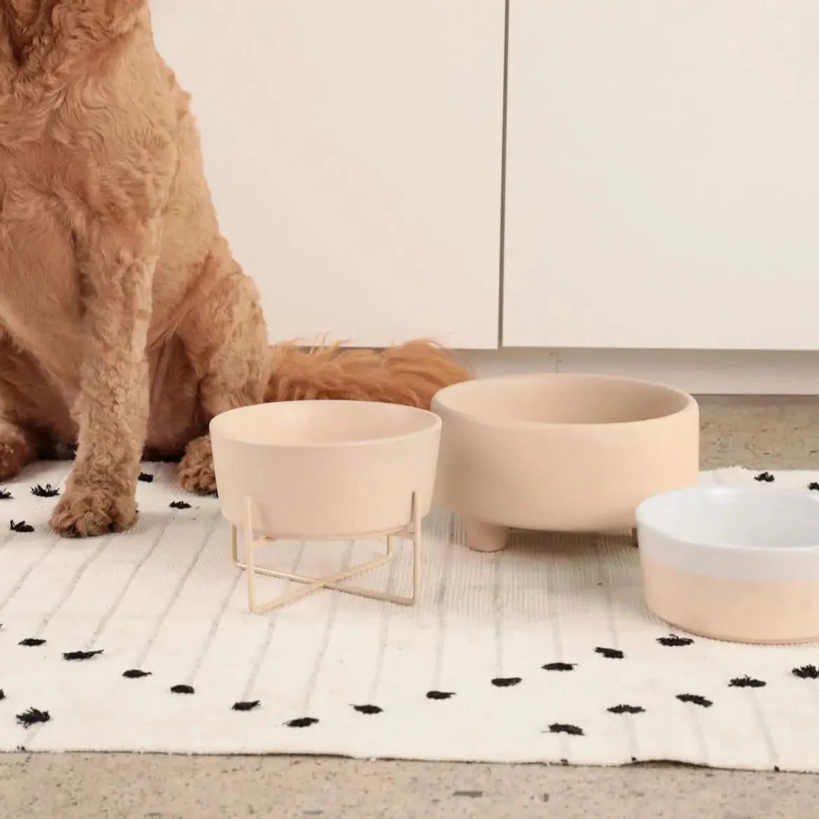 Ceramic Cat & Dog Pet Bowl, Elevated Stoneware Feeder, Dishwasher Safe - Image 3