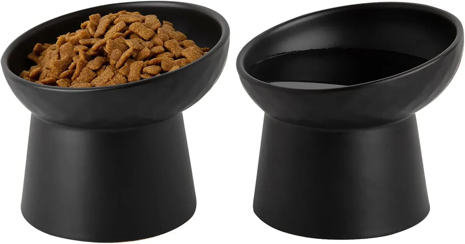 Ceramic Raised Tilted Cat Bowls Set of 2, Elevated Porcelain Feeder - Image 2