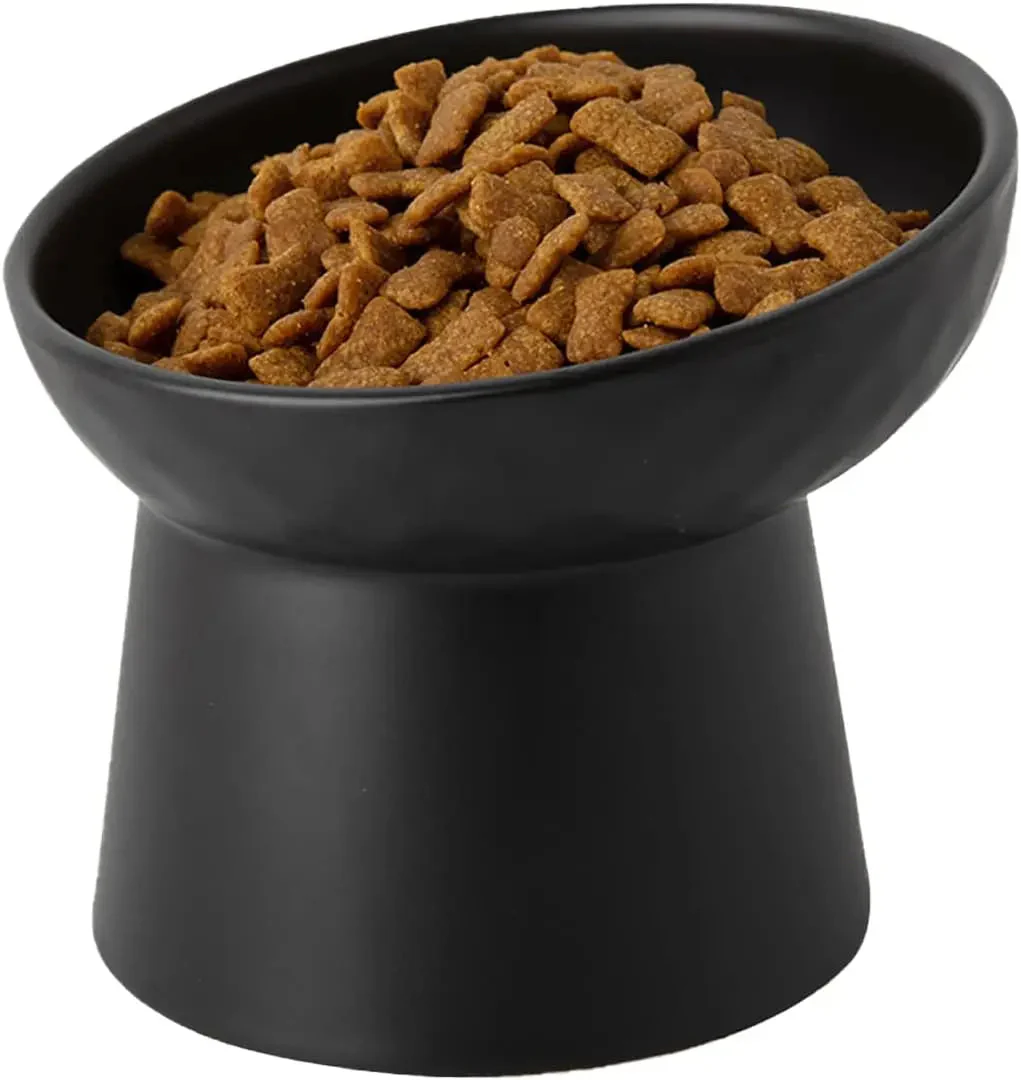 Ceramic Raised Tilted Cat Bowls Set of 2, Elevated Porcelain Feeder - Image 9