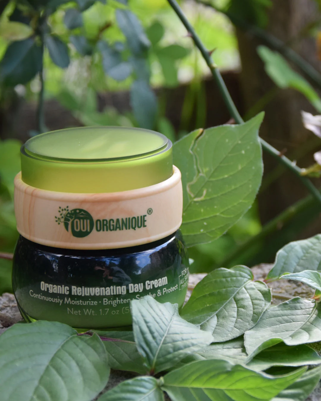 Certified Organic Rejuvenating Day Cream burdock Root|Detoxify |Brighten| - Image 3