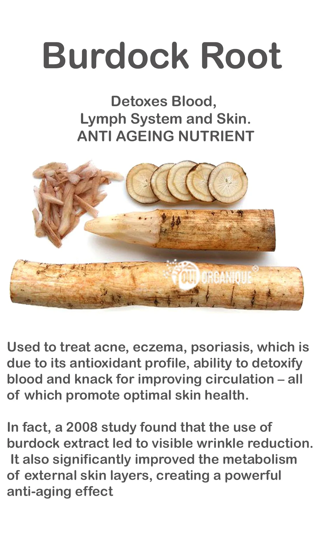 Certified Organic Rejuvenating Day Cream burdock Root|Detoxify |Brighten| - Image 4