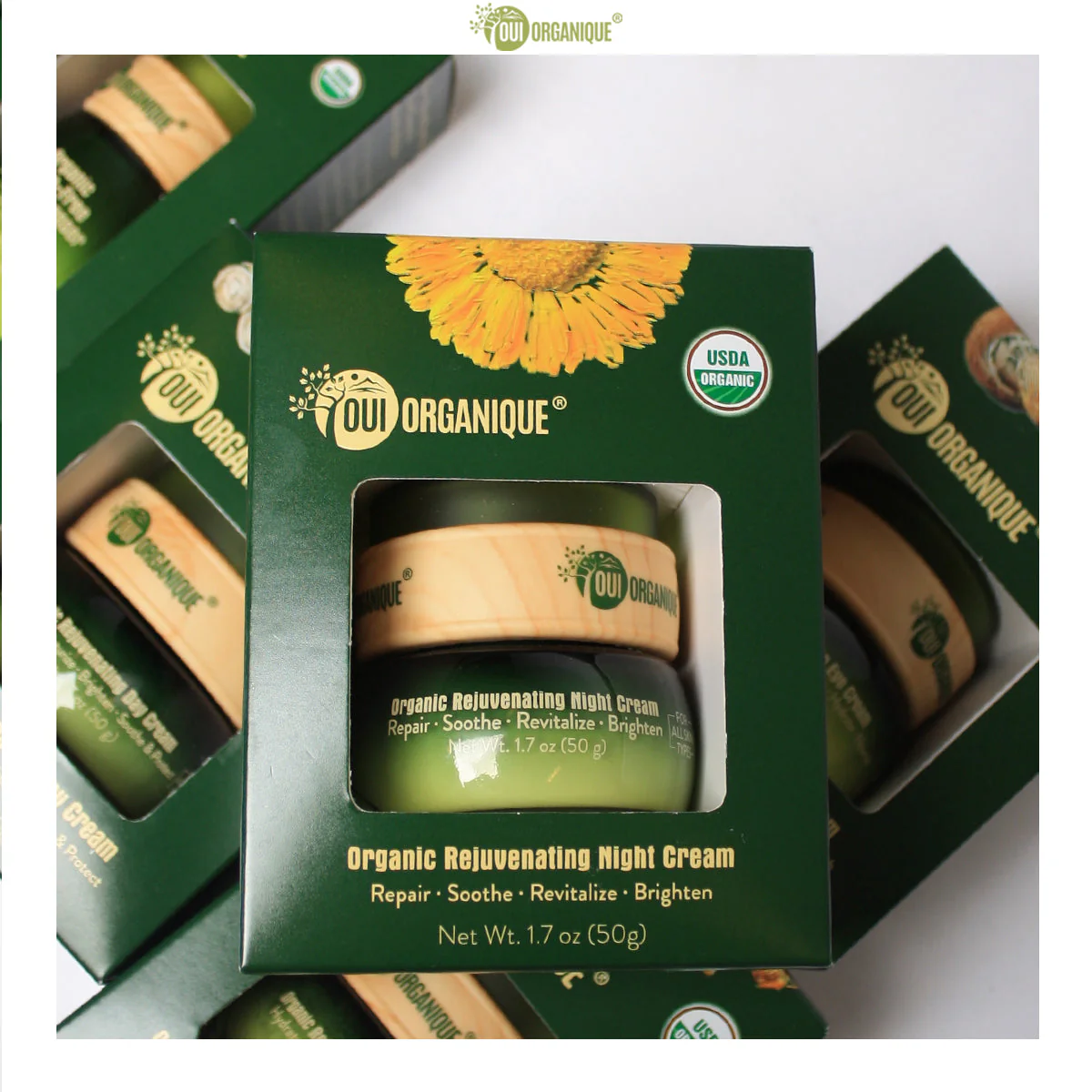 Certified Organic Rejuvenating Night cream calendula Hydrate Anti-aging Repair |Calendula flower - Image 3