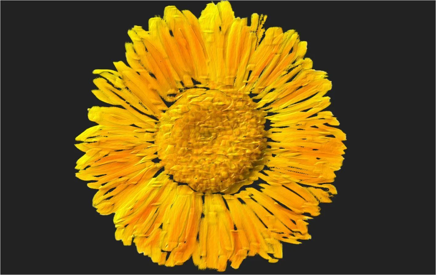 Certified Organic Rejuvenating Night cream calendula Hydrate Anti-aging Repair |Calendula flower - Image 7