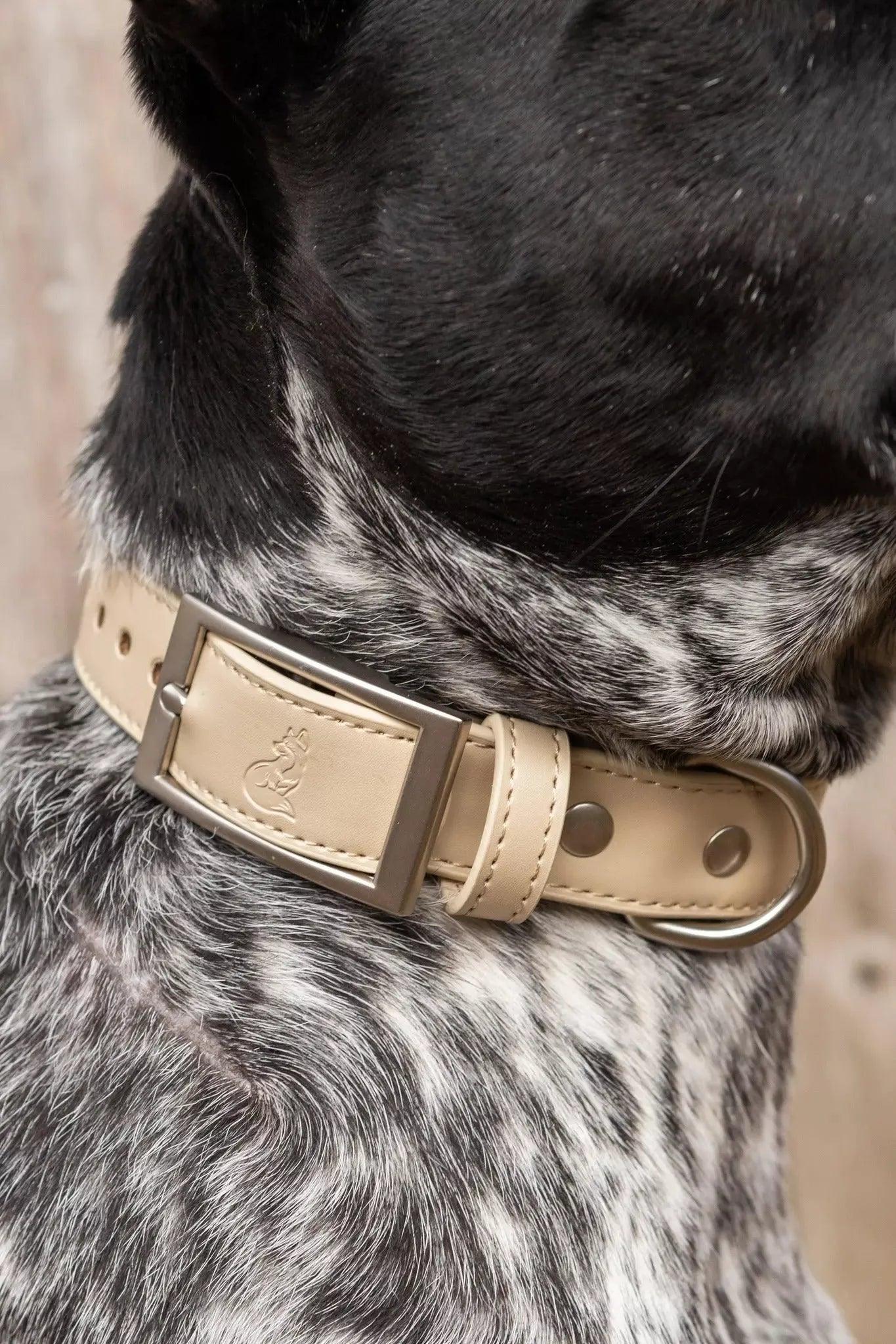 Champagne Fizz Vegan Leather Dog Collar - Image 2