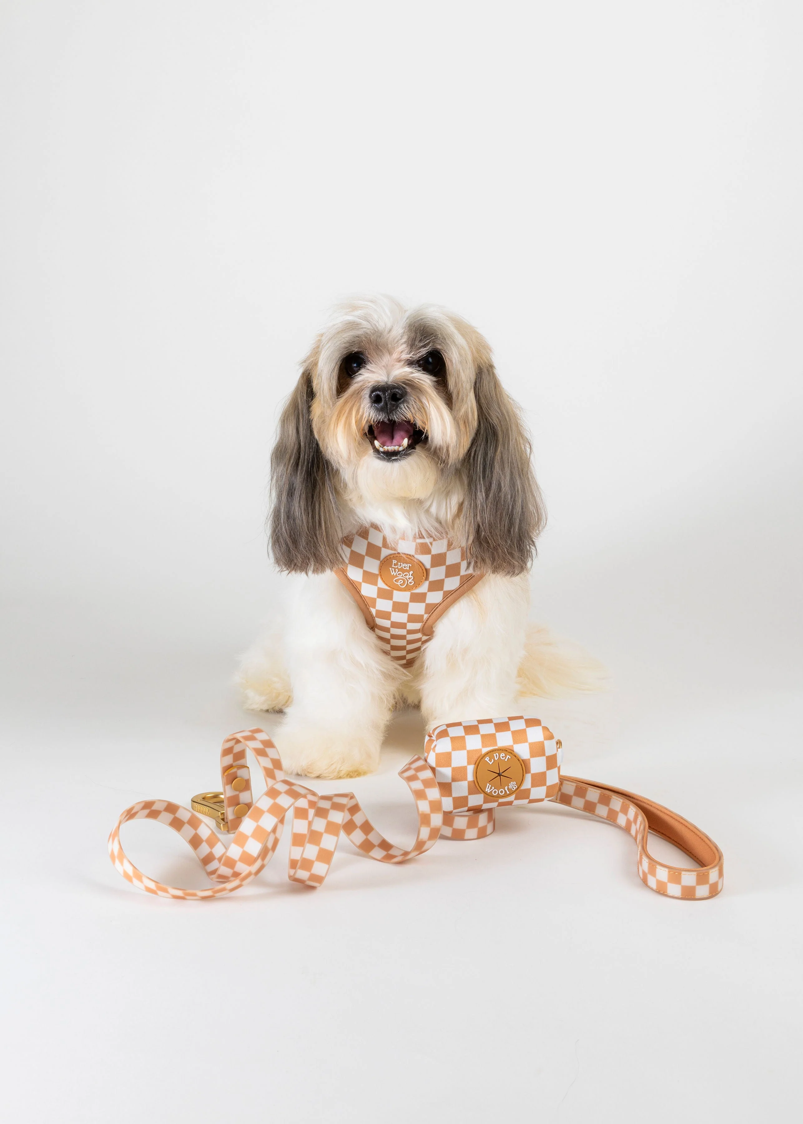 Check Me Out Adjustable Harness - Image 4