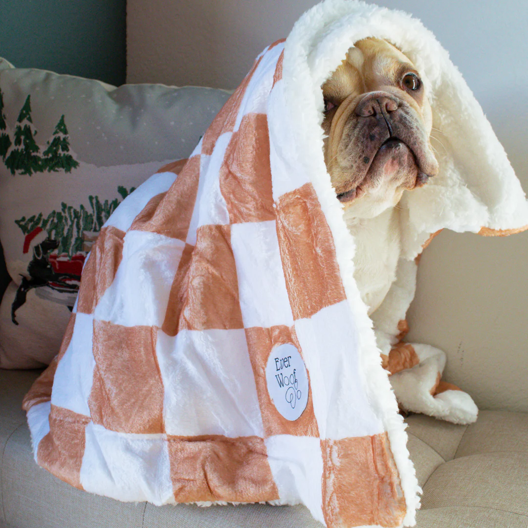 Check Me Out Dog Blanket - Image 3