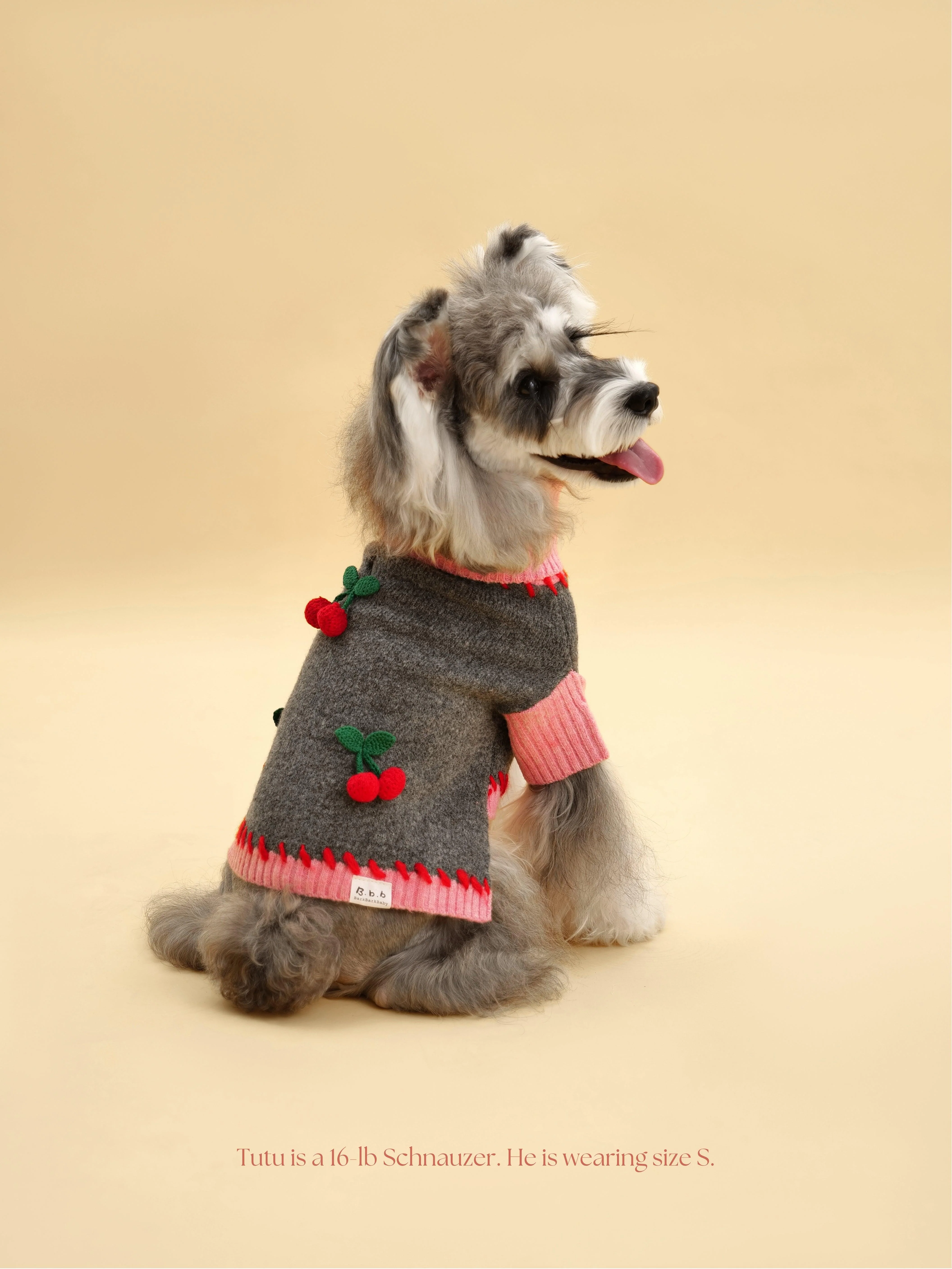 Cherry Kiss Sweater - Image 4