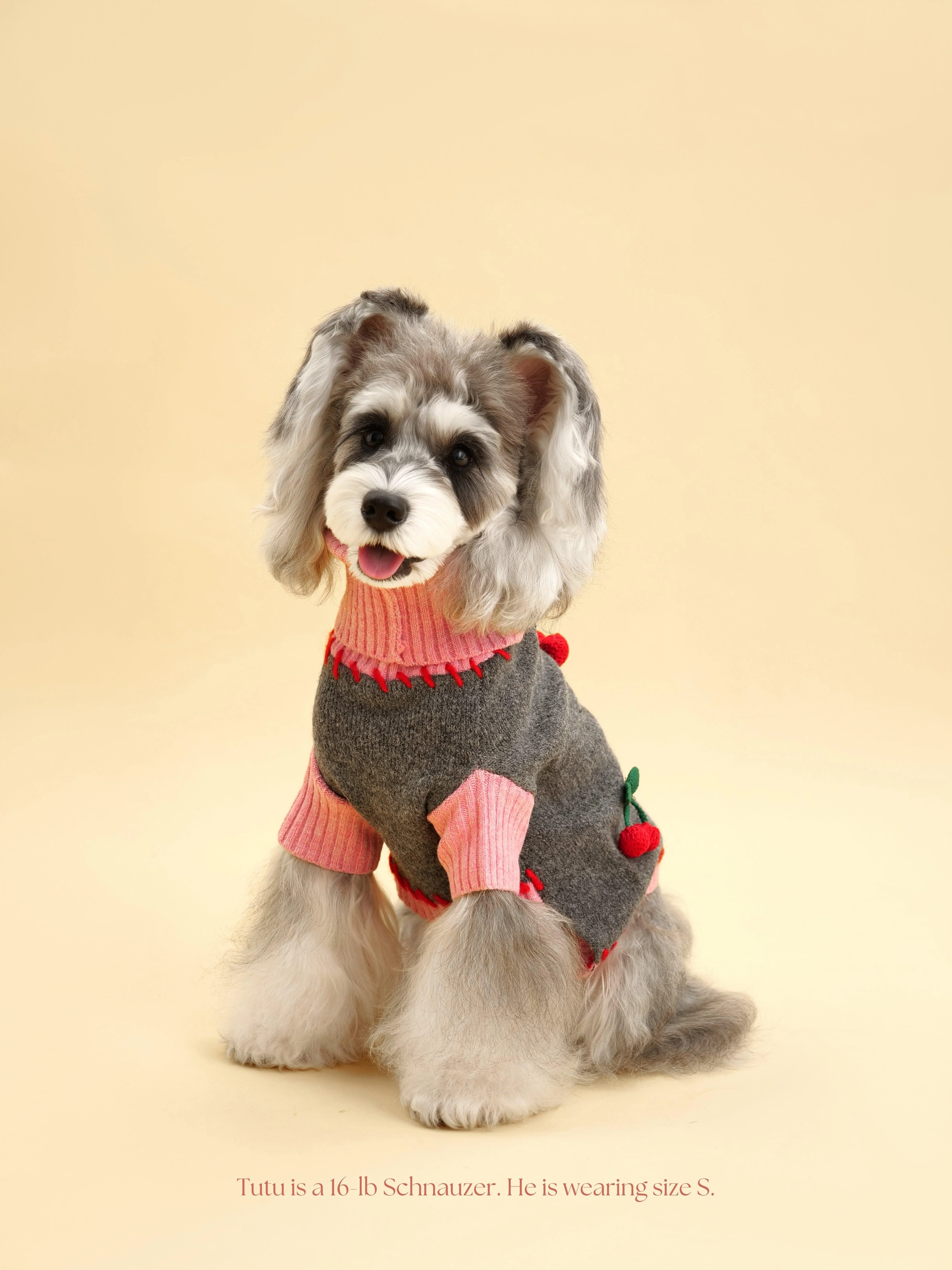 Cherry Kiss Sweater - Image 5