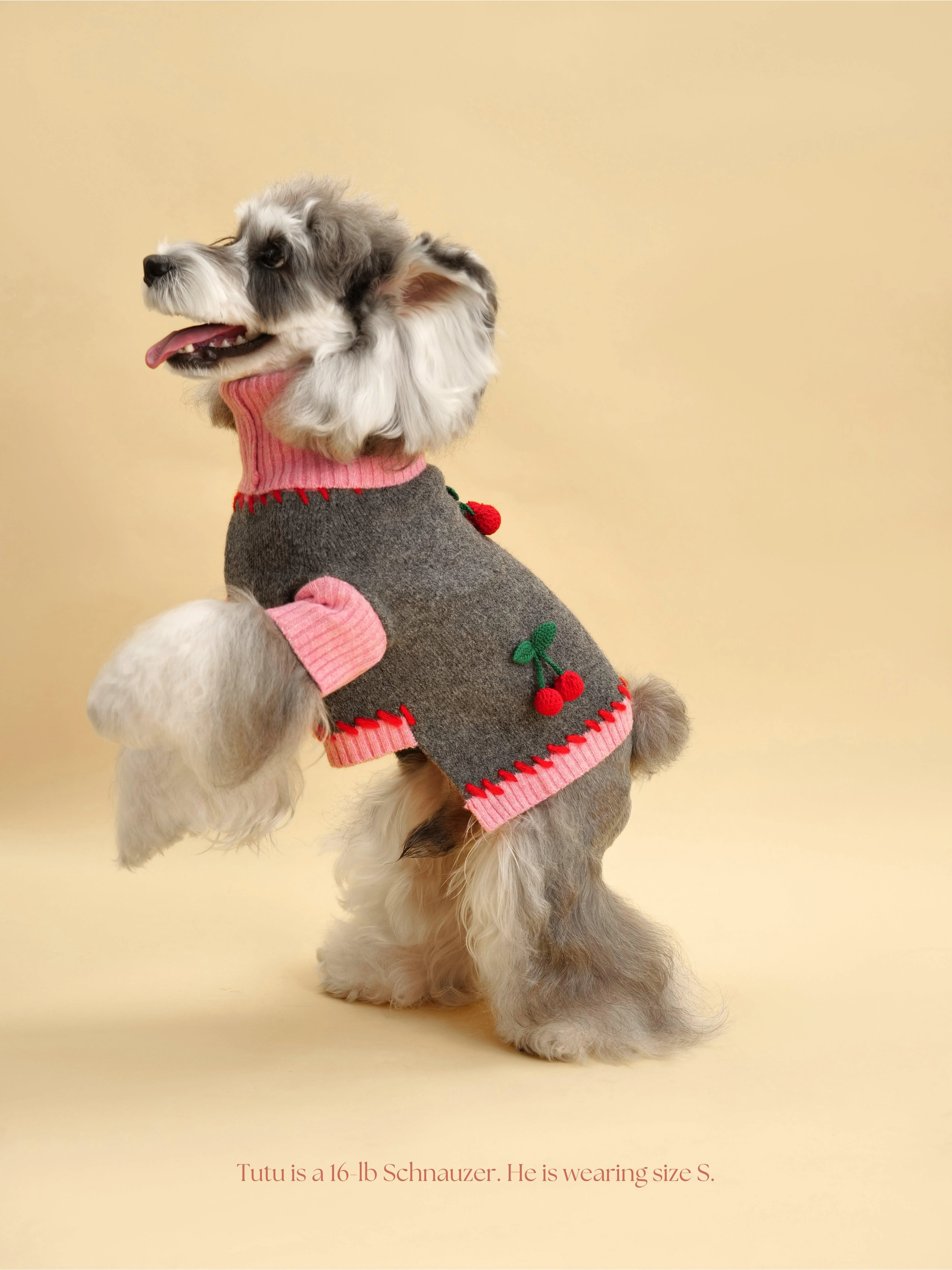Cherry Kiss Sweater - Image 6
