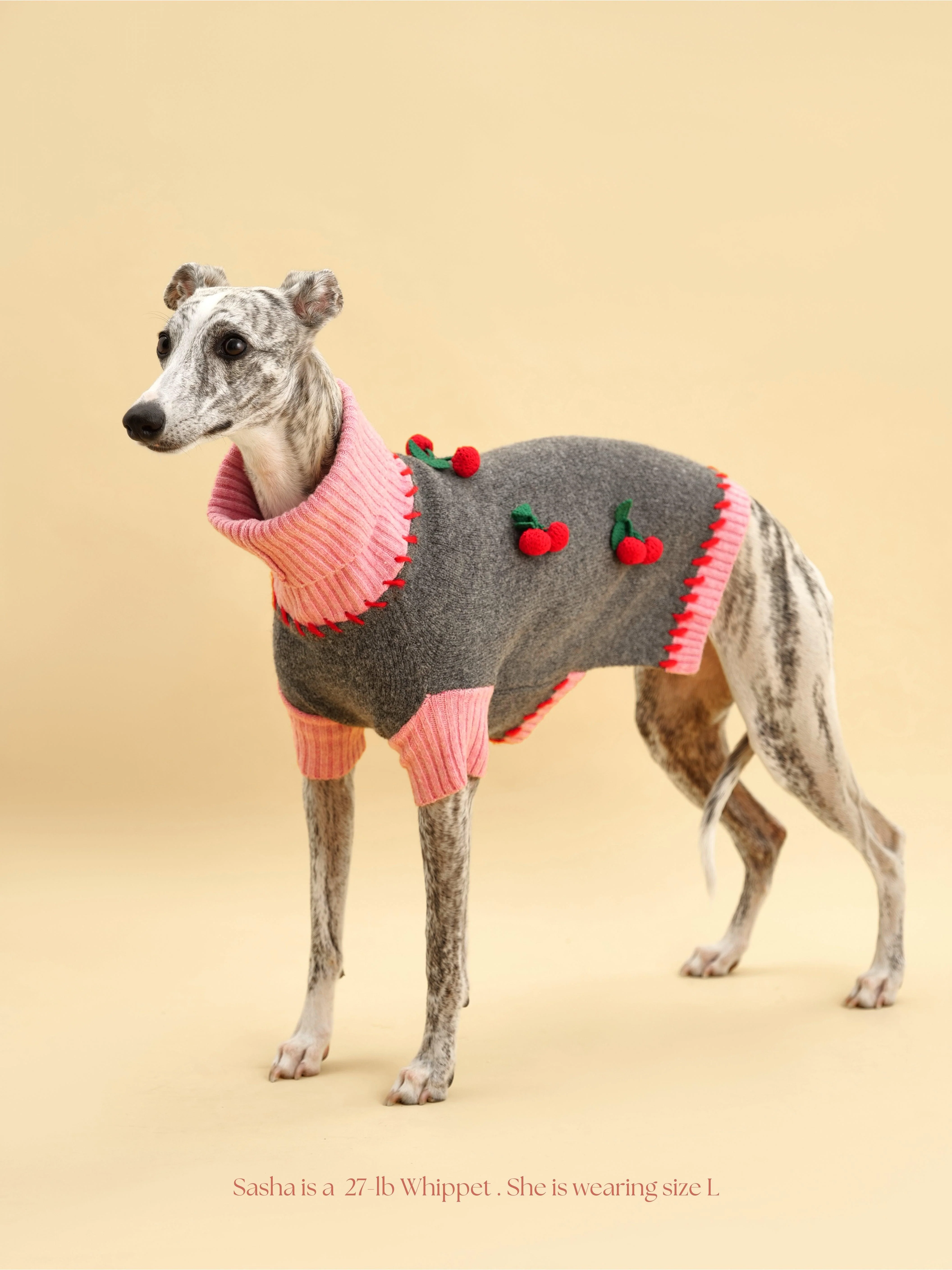 Cherry Kiss Sweater - Image 7