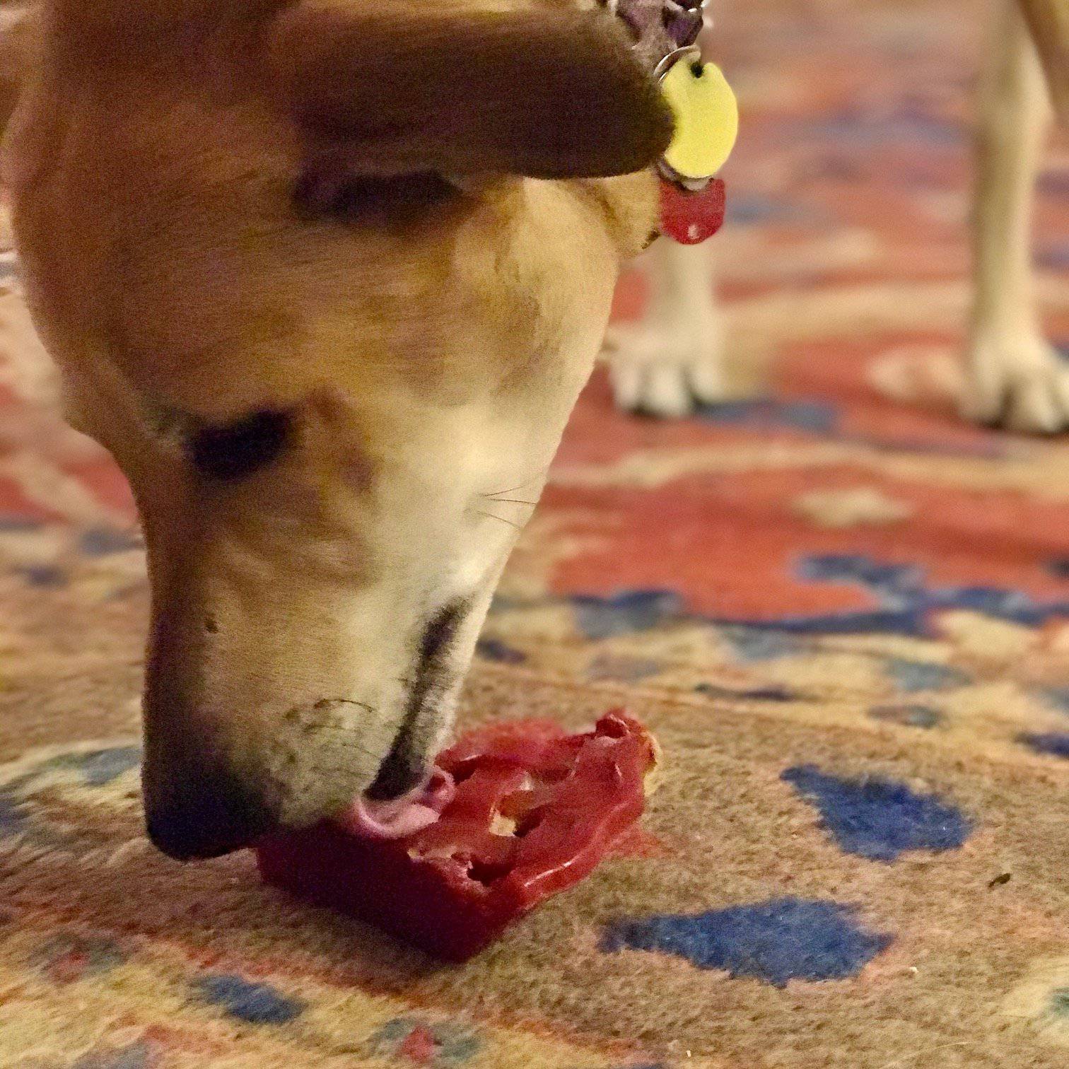 Cherry Pie Nylon Dog Chew Toy for Aggressive Chewers | USA Made | SodaPup - Image 7