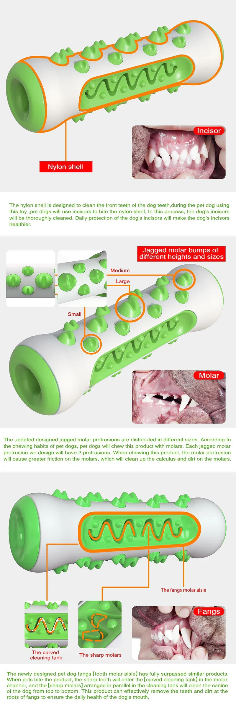 Chew-Resistant Rubber Dog Toy for Dental Health - Image 9