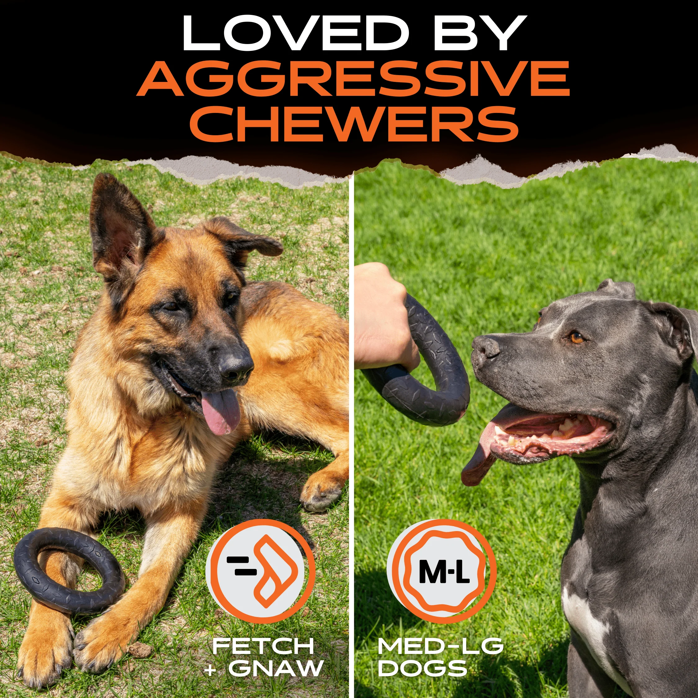Chew Ring - Image 5