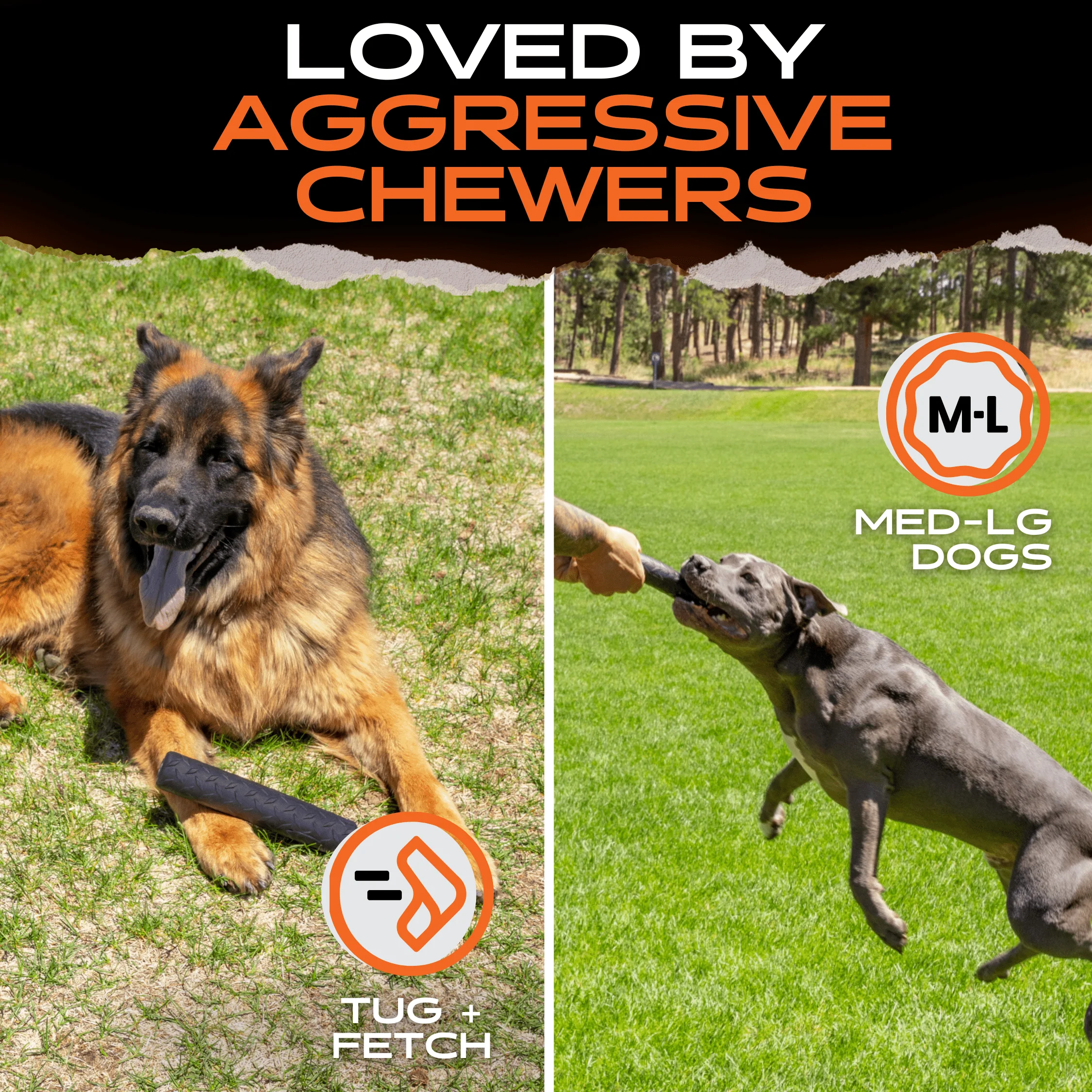 Chew Stick - Image 5