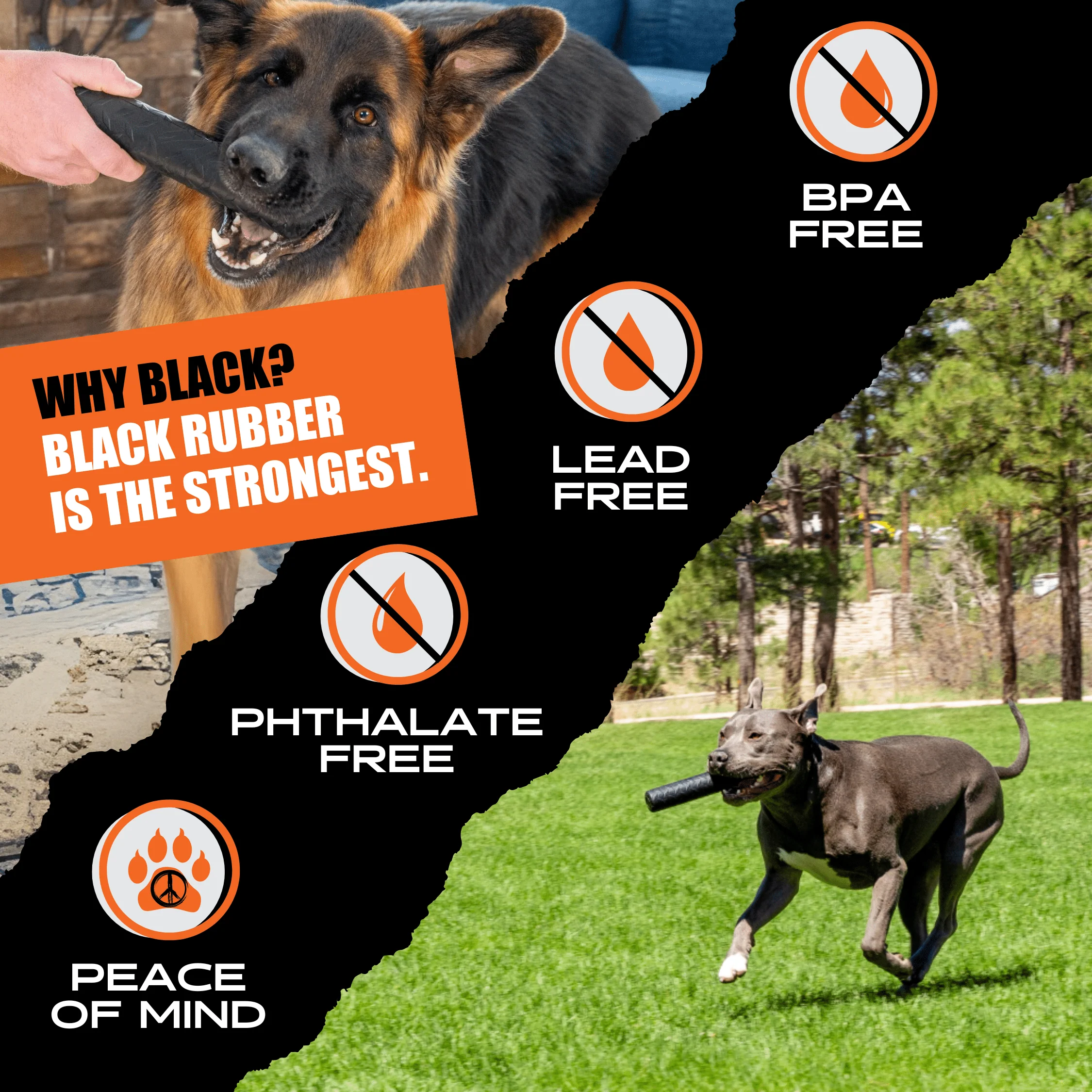 Chew Stick - Image 7