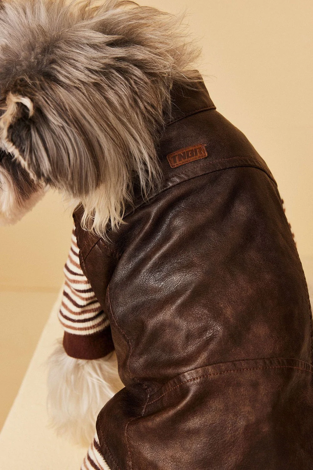 Chic Pup Leather Vest Dog Clothing - Image 3