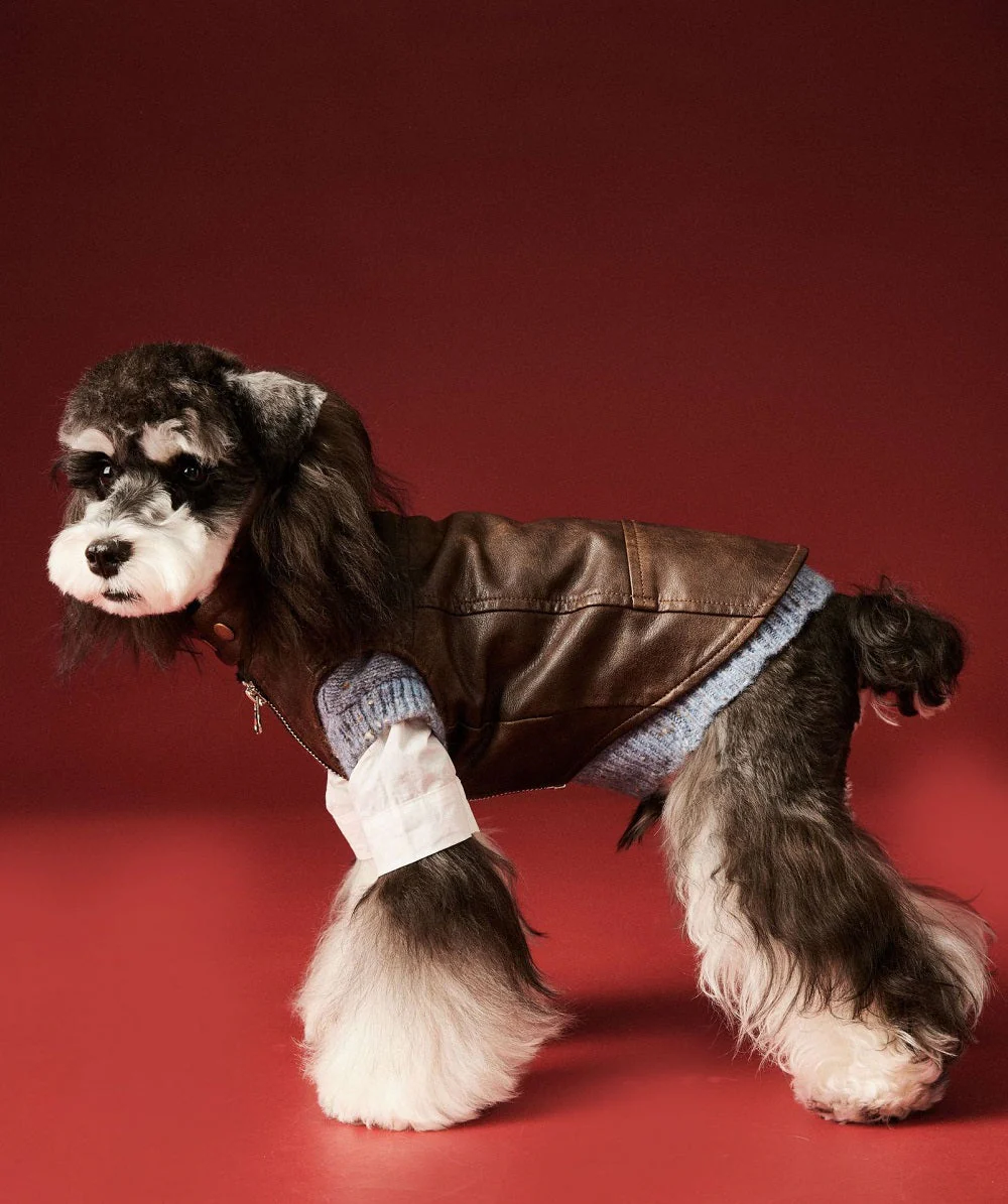 Chic Pup Leather Vest Dog Clothing - Image 4