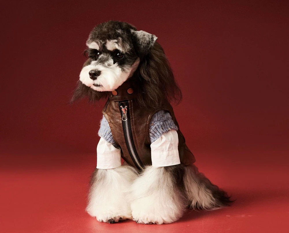 Chic Pup Leather Vest Dog Clothing - Image 5