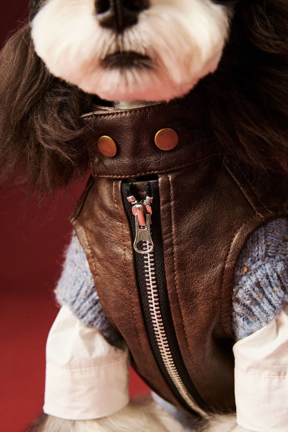 Chic Pup Leather Vest Dog Clothing - Image 6