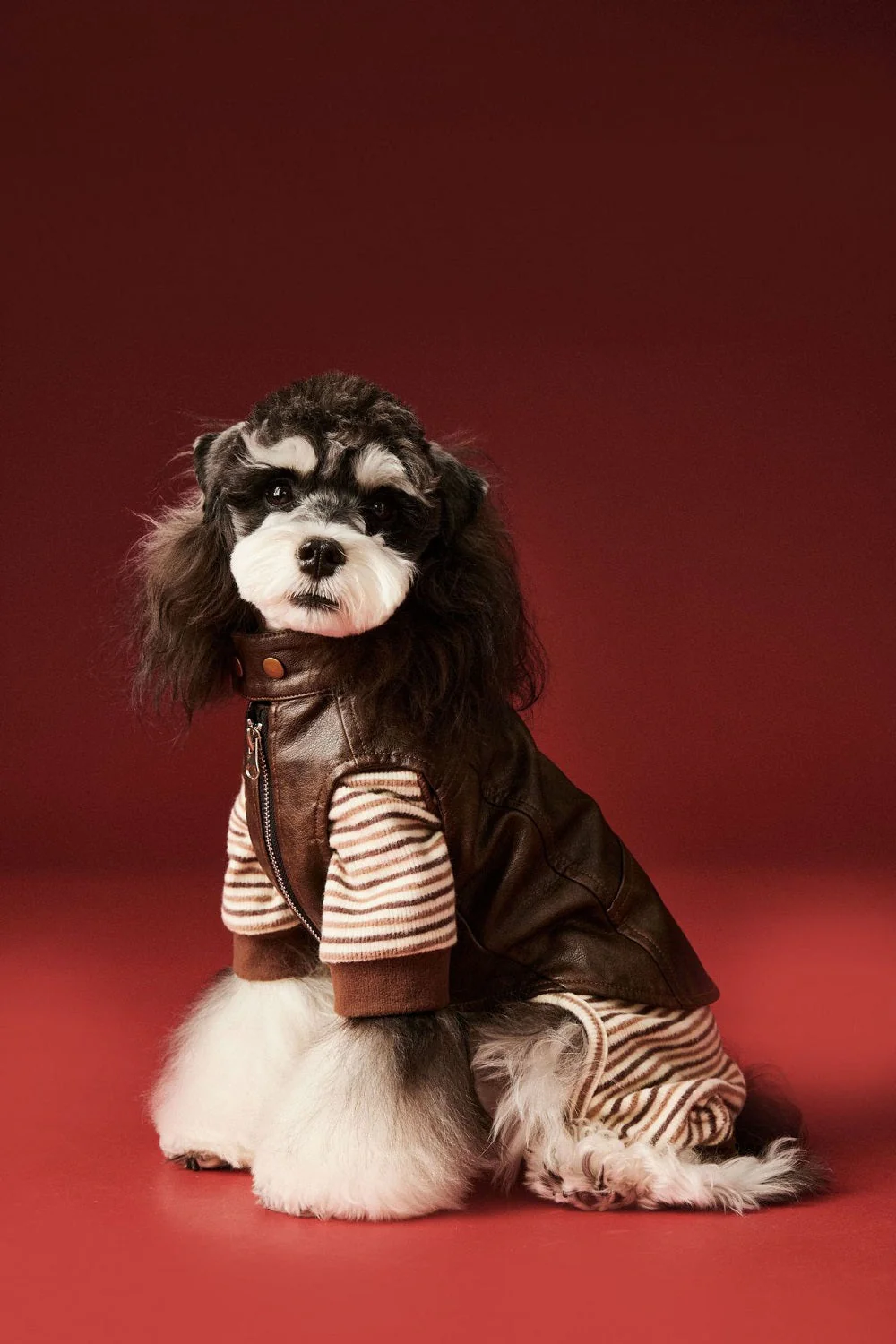 Chic Pup Leather Vest Dog Clothing - Image 7