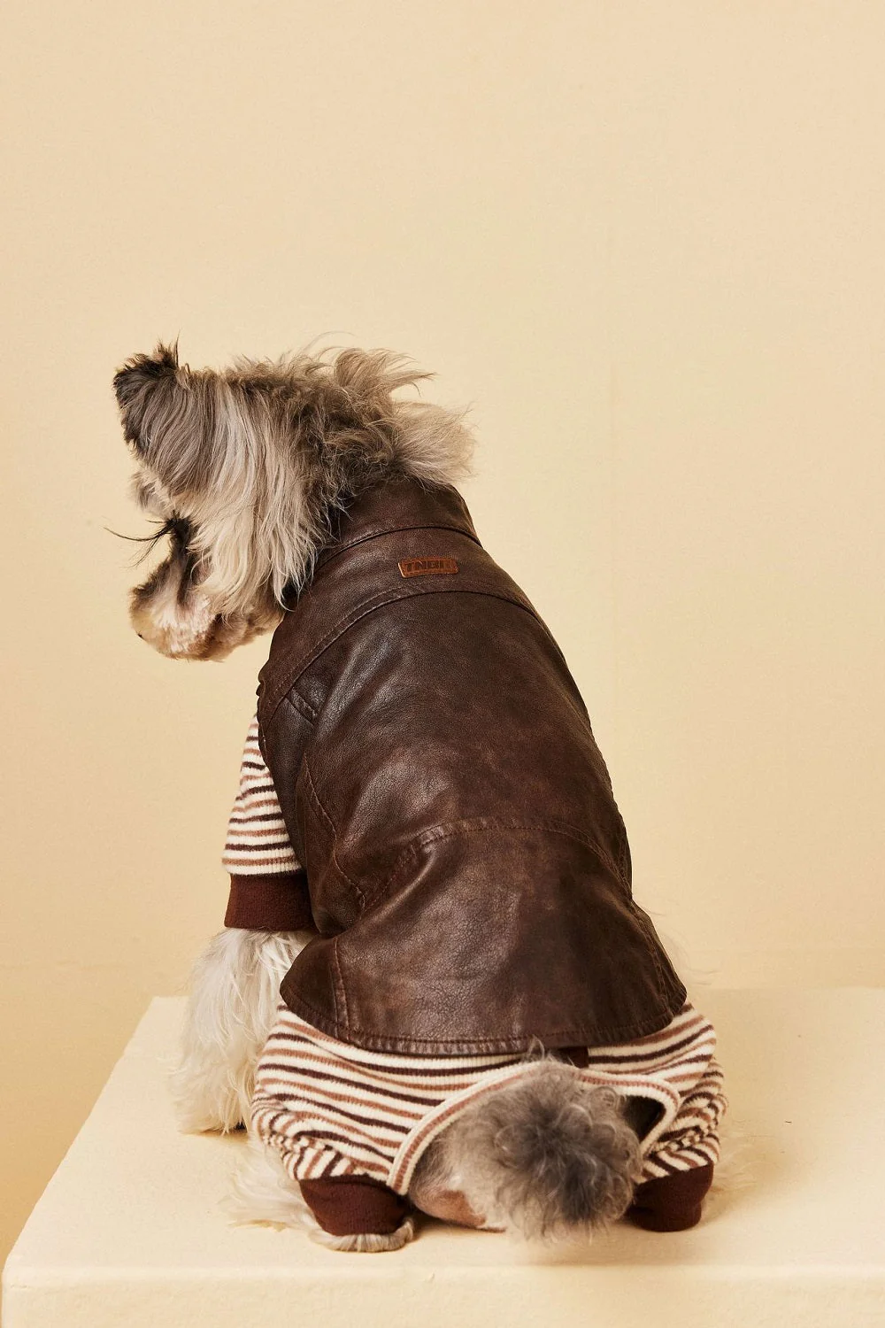 Chic Pup Leather Vest Dog Clothing - Image 8