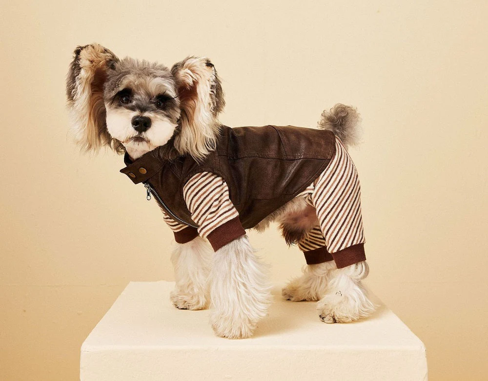 Chic Pup Leather Vest Dog Clothing - Image 9