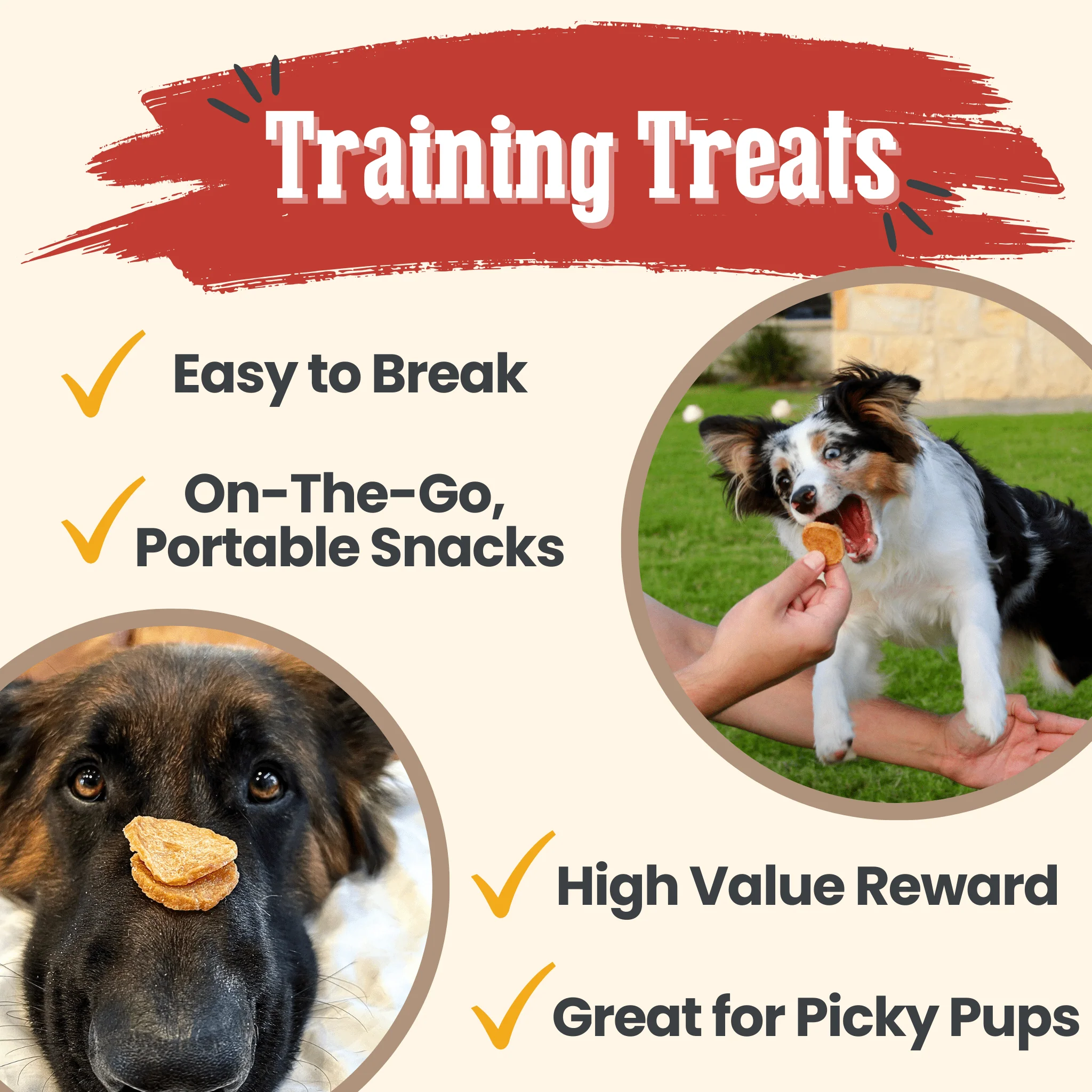 Chicken Chips for Dogs | All-Natural Single-Ingredient Dog Treats - Image 12