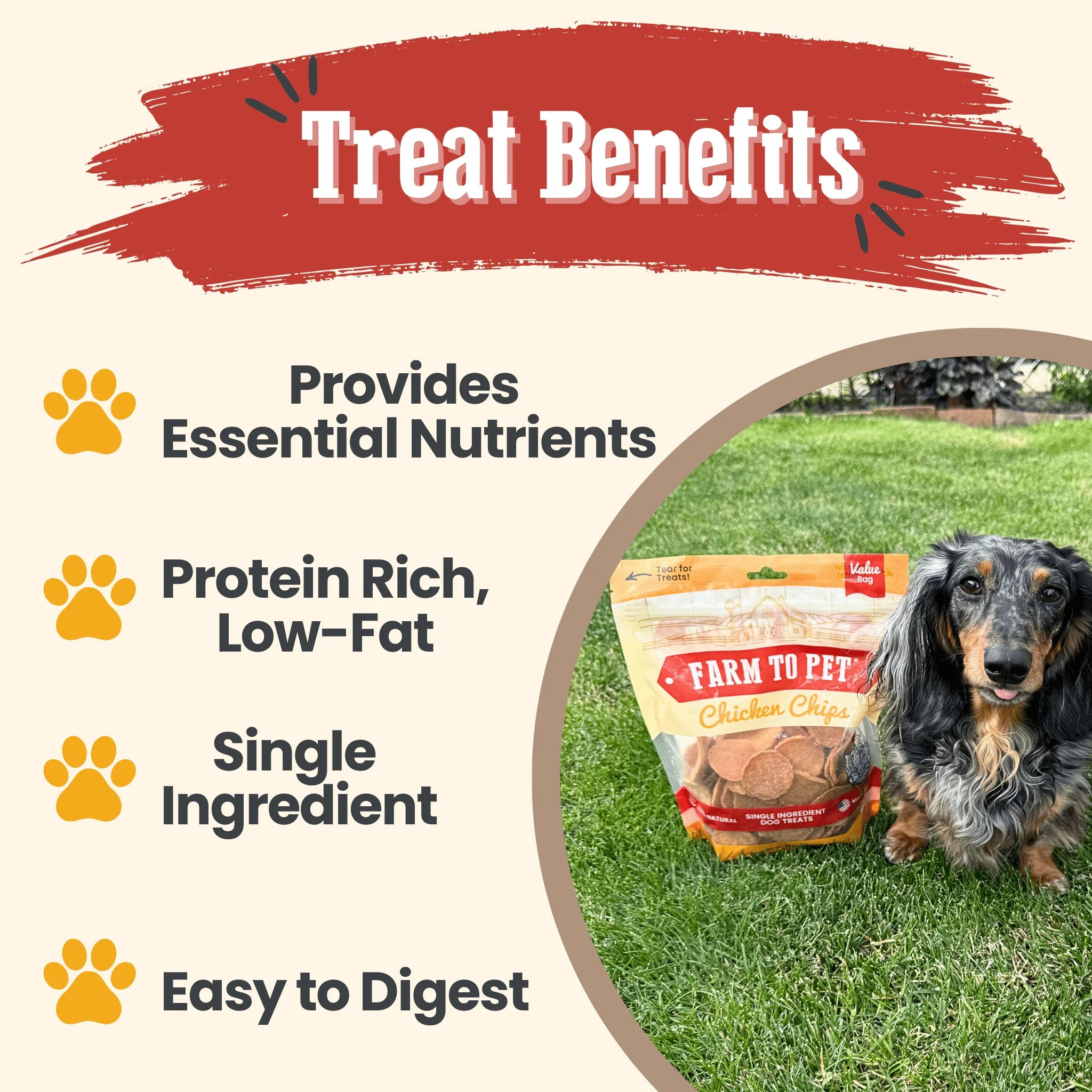 Chicken Chips for Dogs | All-Natural Single-Ingredient Dog Treats - Image 13