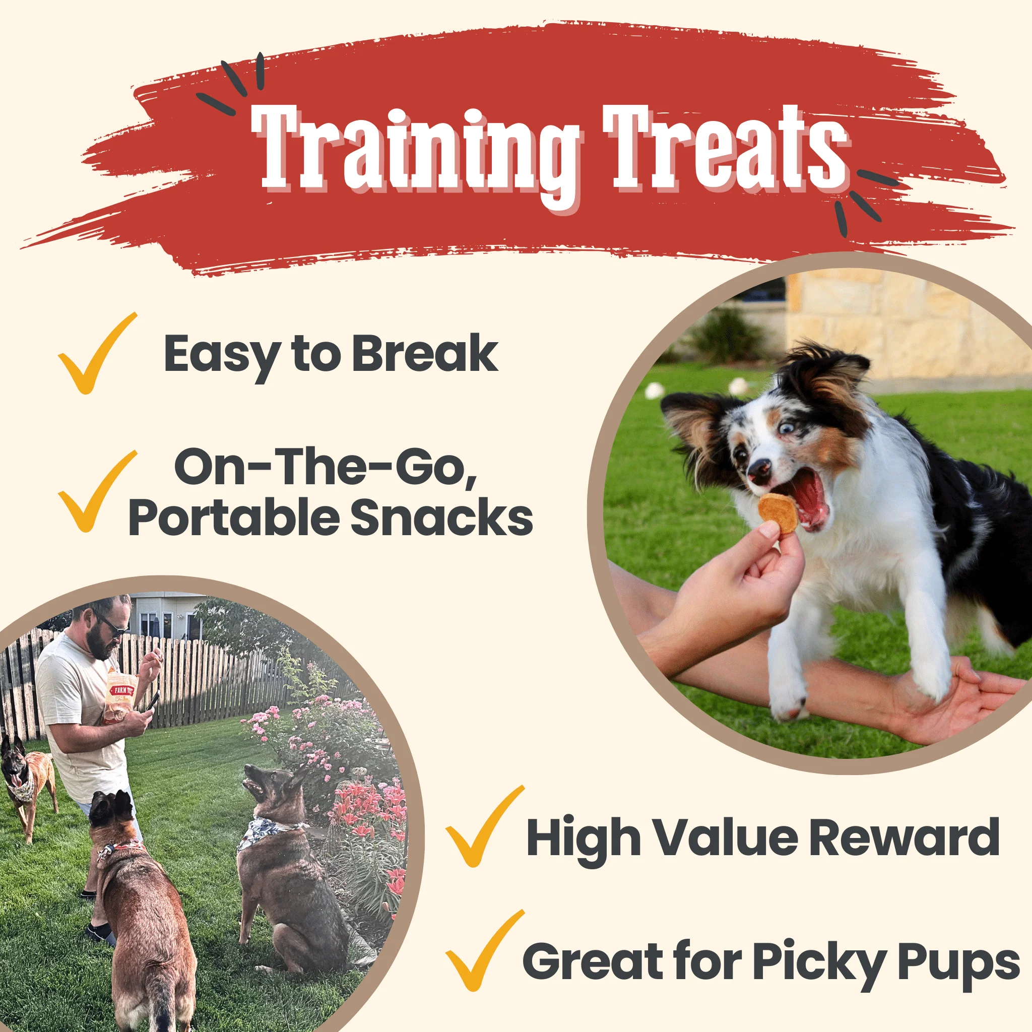 Chicken Chips for Dogs | All-Natural Single-Ingredient Dog Treats - Image 5