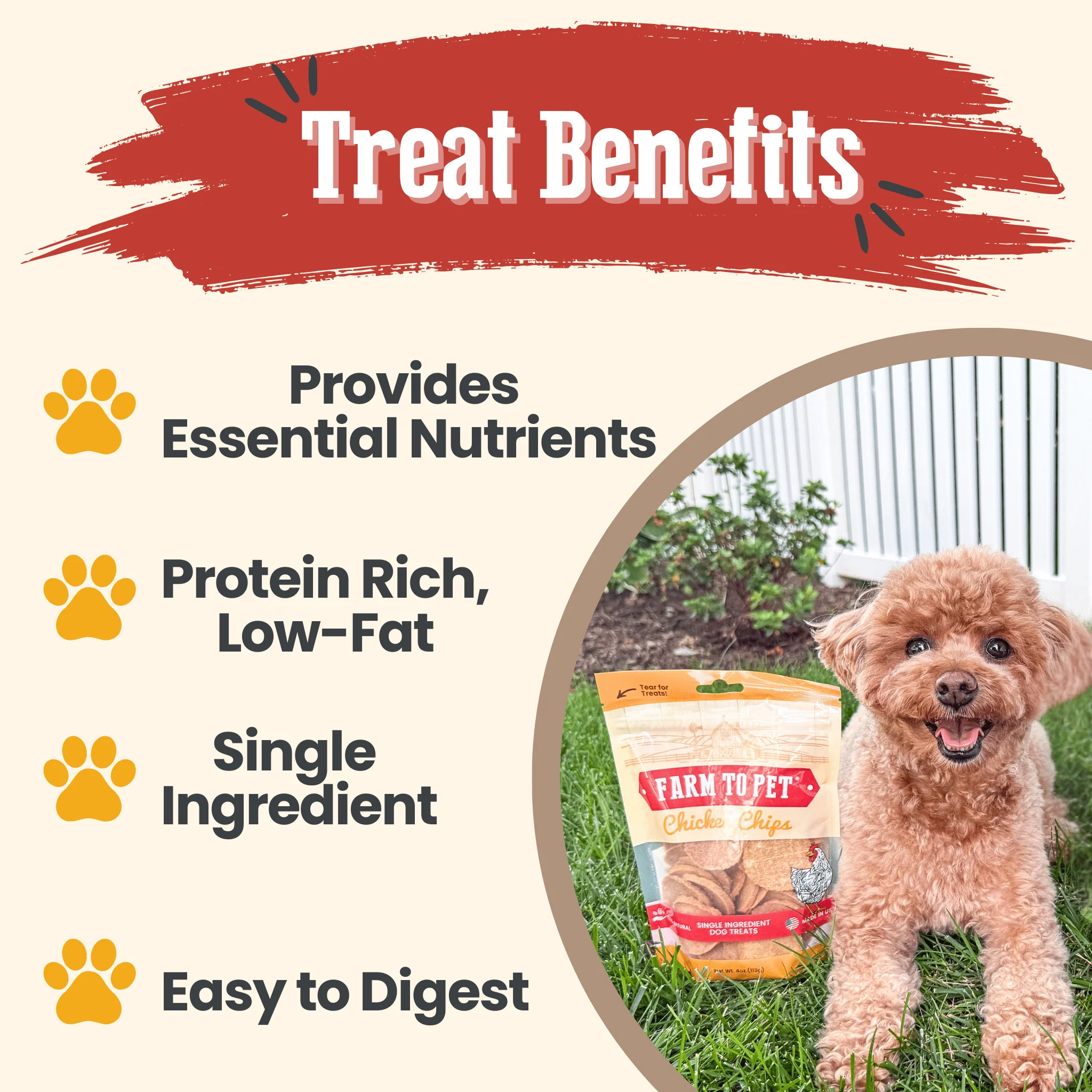 Chicken Chips for Dogs | All-Natural Single-Ingredient Dog Treats - Image 6