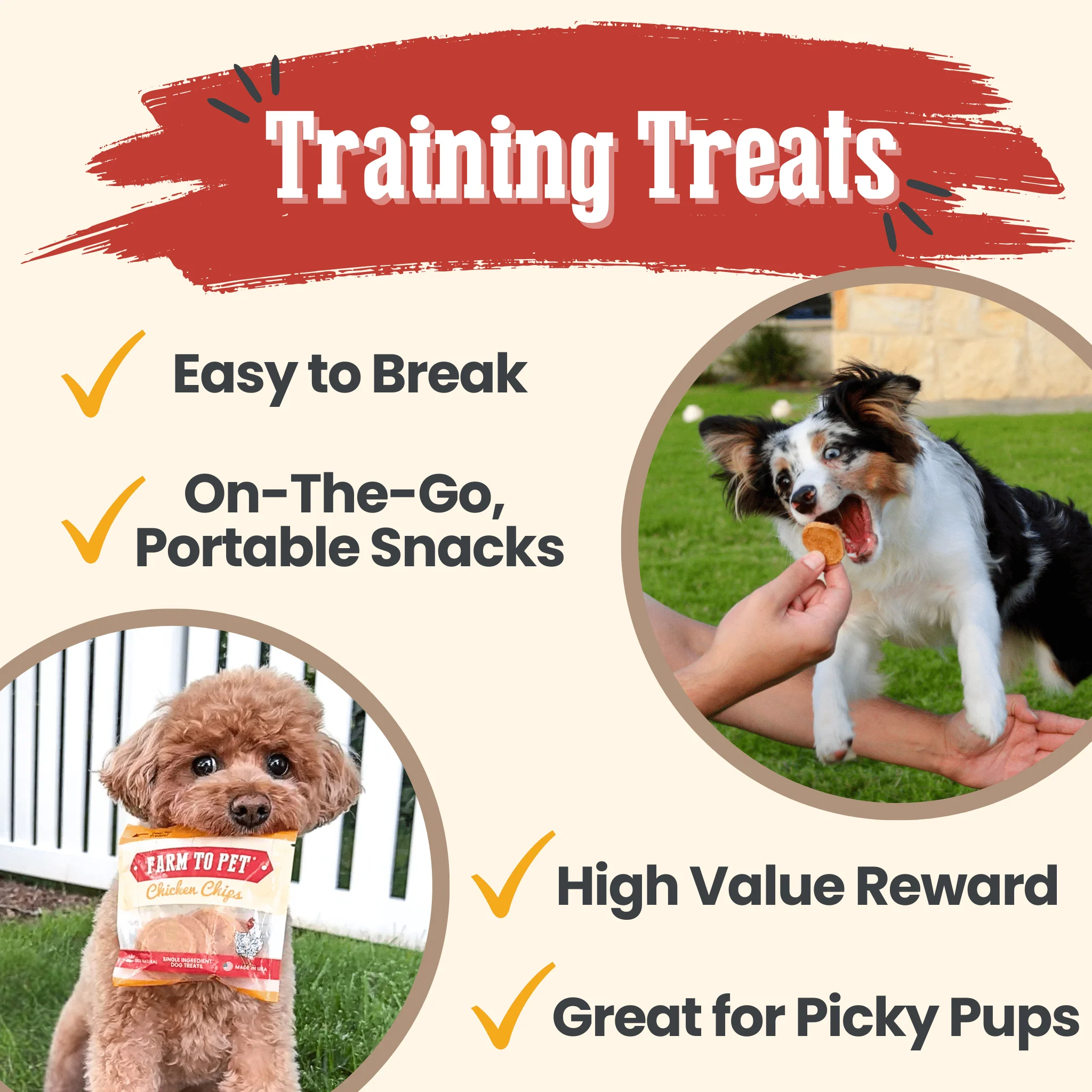 Chicken Chips Snack Pack Bundles | Dog Party Favors & Training Treats - Image 21