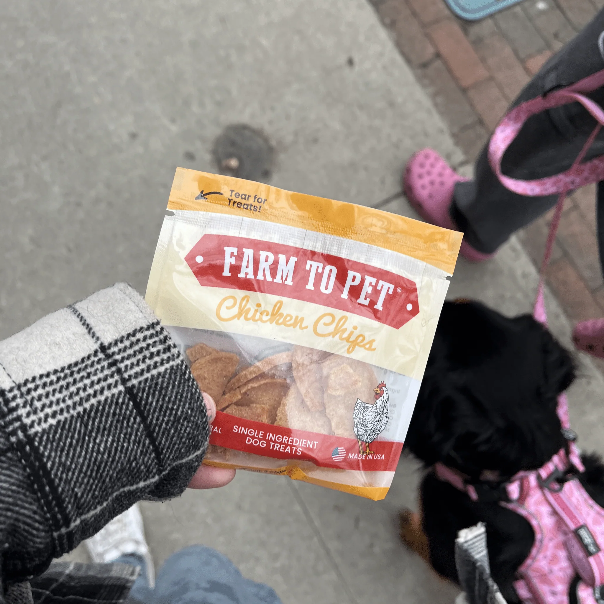 Chicken Chips Snack Pack Bundles | Dog Party Favors & Training Treats - Image 6