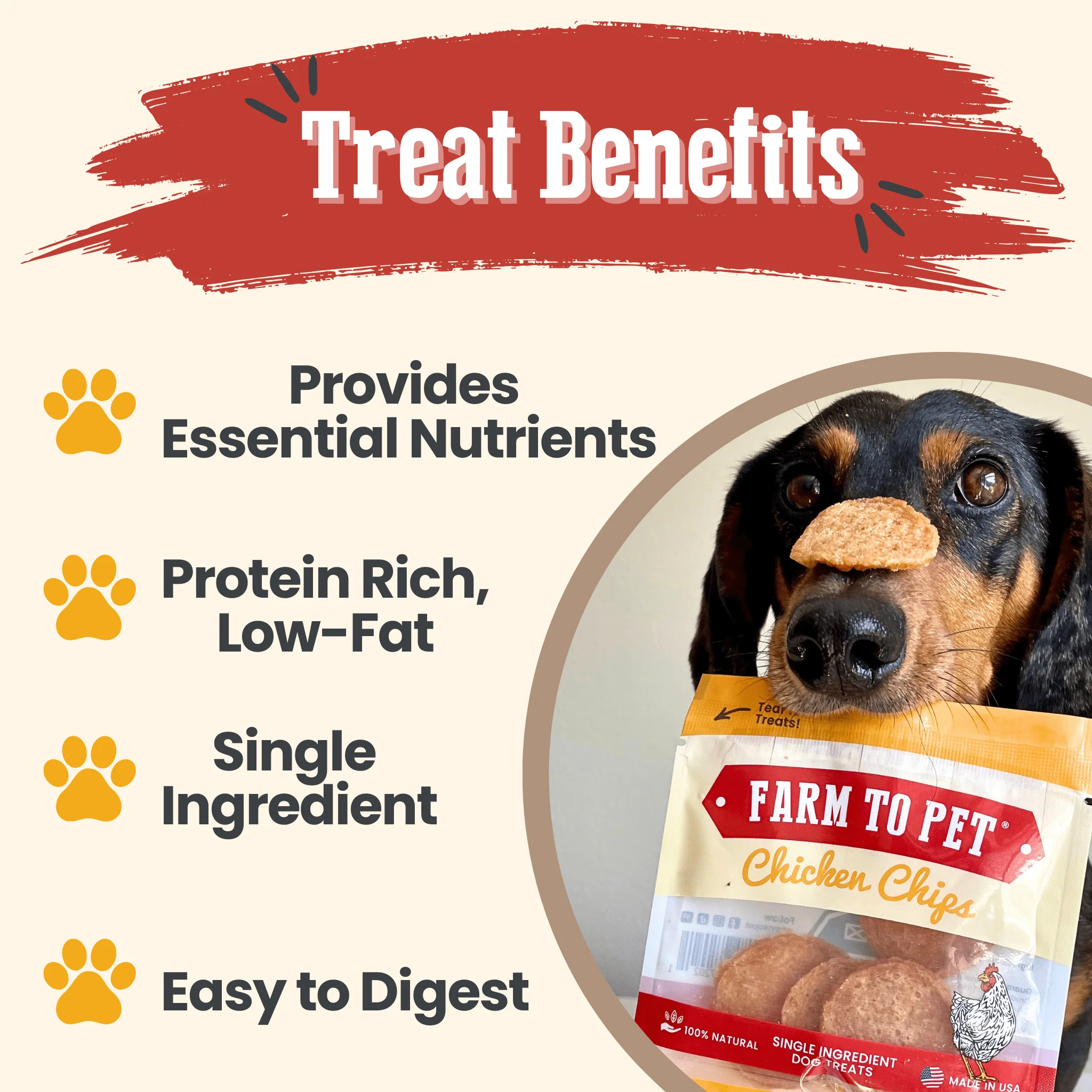 Chicken Chips Snack Pack Bundles | Dog Party Favors & Training Treats - Image 8
