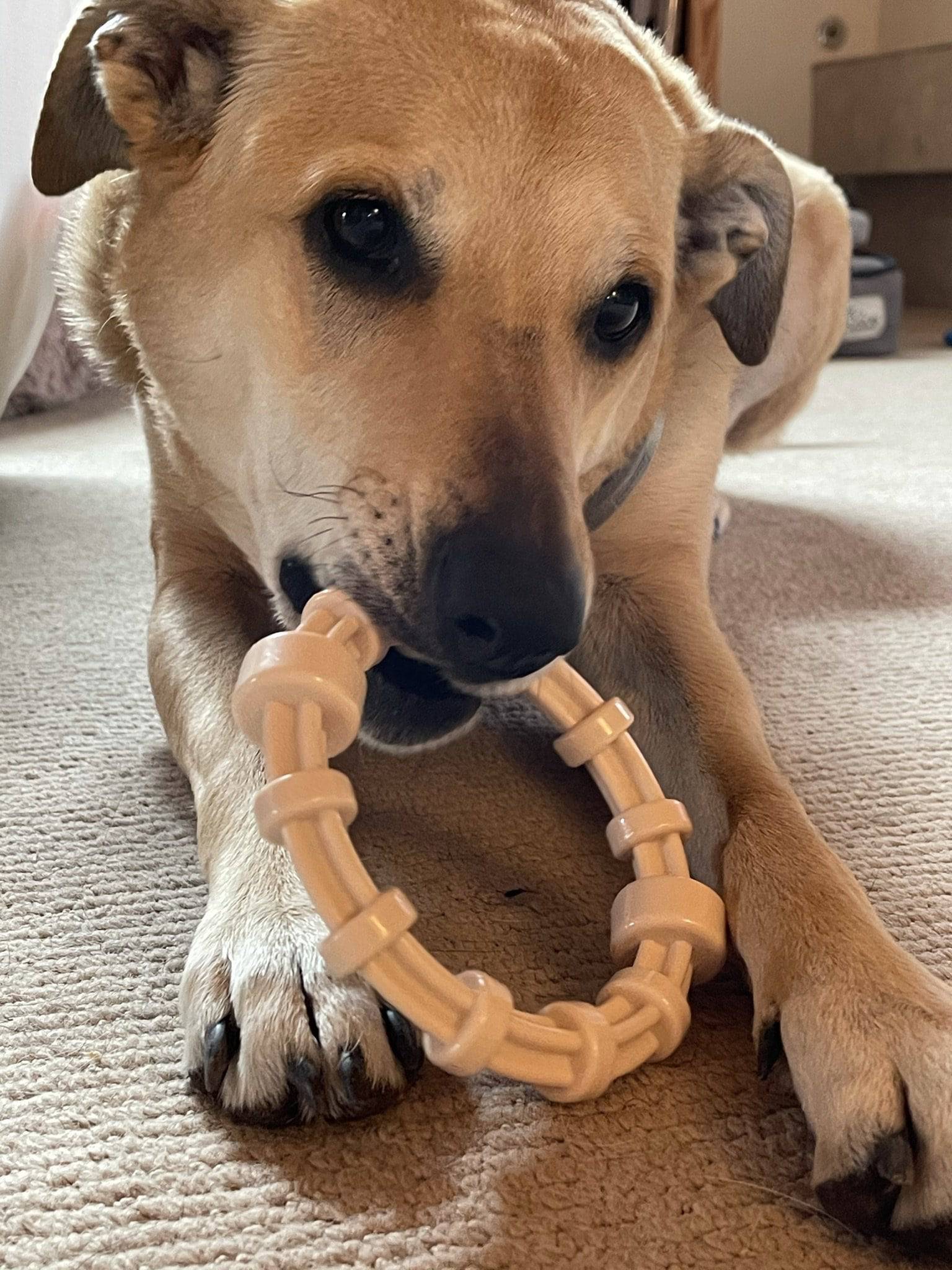 Chicken Flavored Teething Ring for Puppies & Aggressive Chewers | USA Made - Image 8