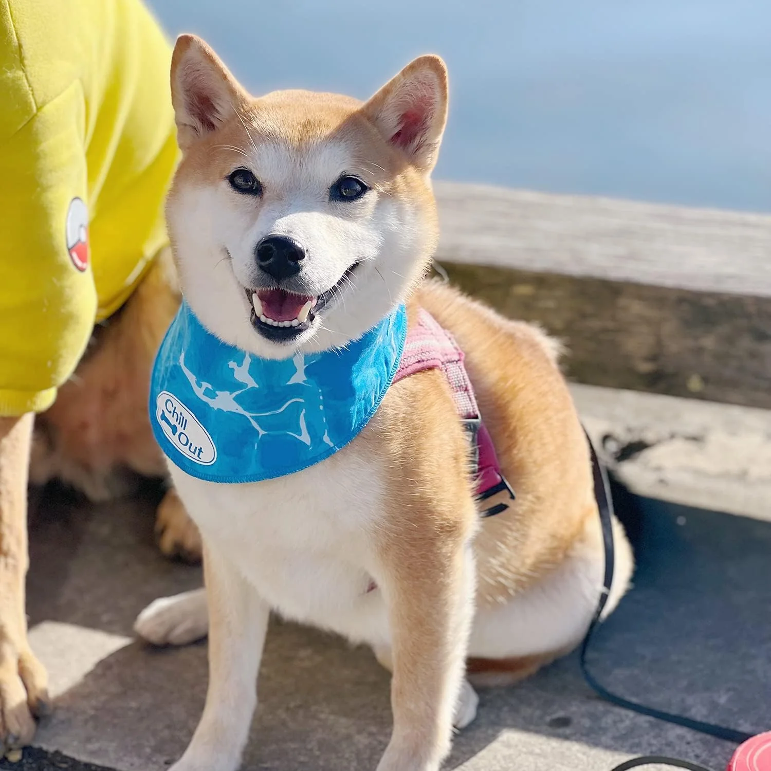 Chill-Out Bandana - Image 8