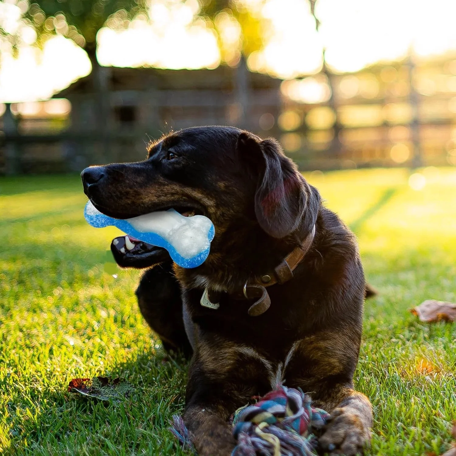 Chill Out - Bite Resistance Dog Cooling Chew Toy for Summer Ice Bone - Image 2