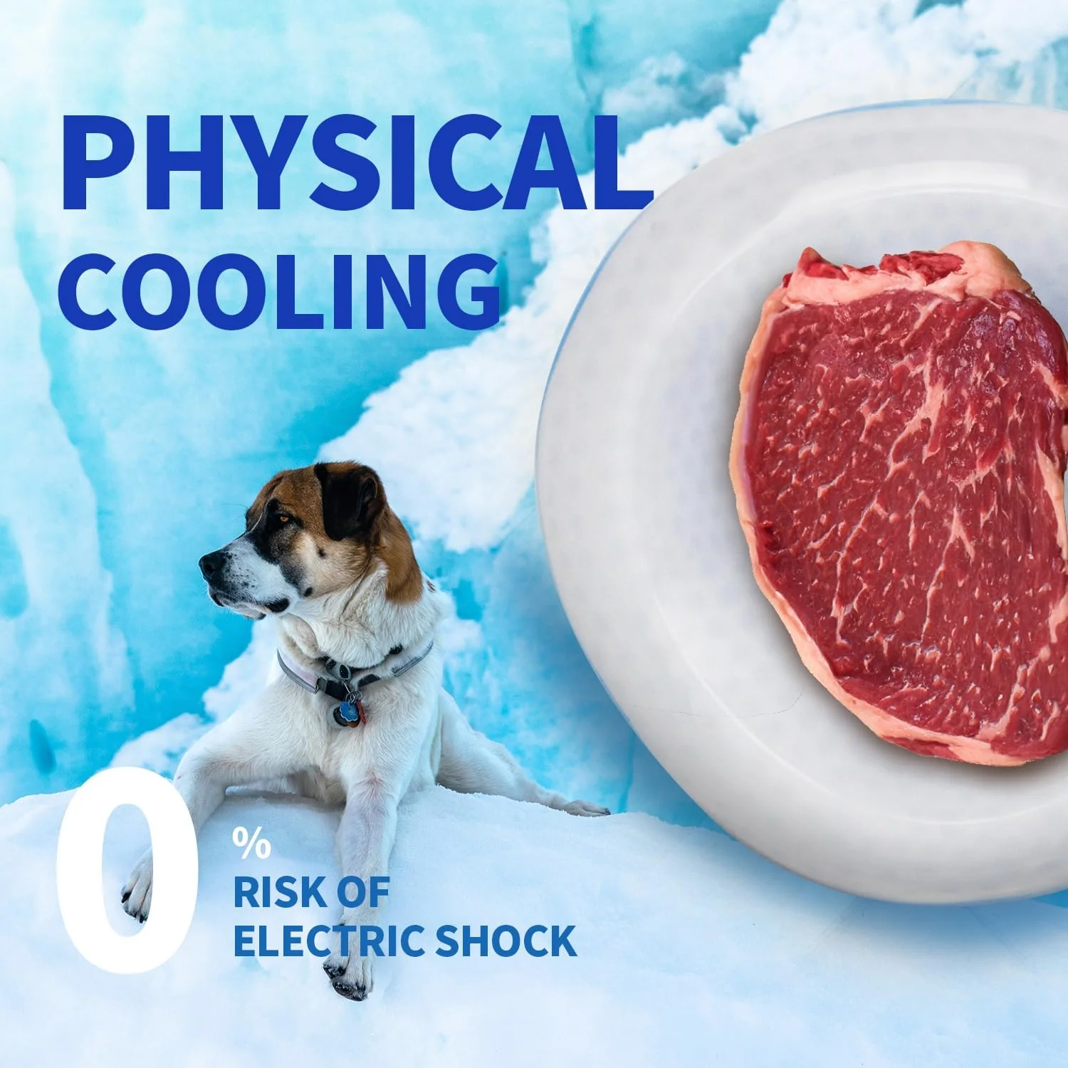 Chill Out - Dog Cooler Bowl - Pet Cooler Bowl Keeps Water Cool and Fresh for Hours - Image 2
