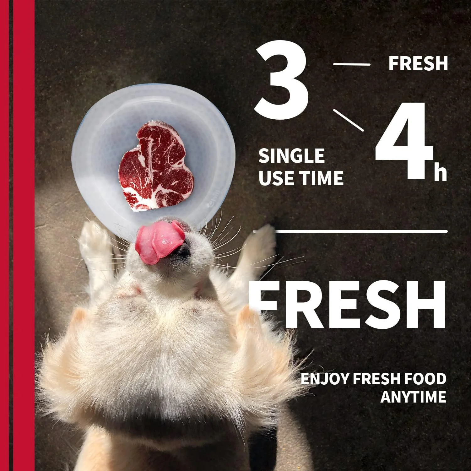 Chill Out - Dog Cooler Bowl - Pet Cooler Bowl Keeps Water Cool and Fresh for Hours - Image 6