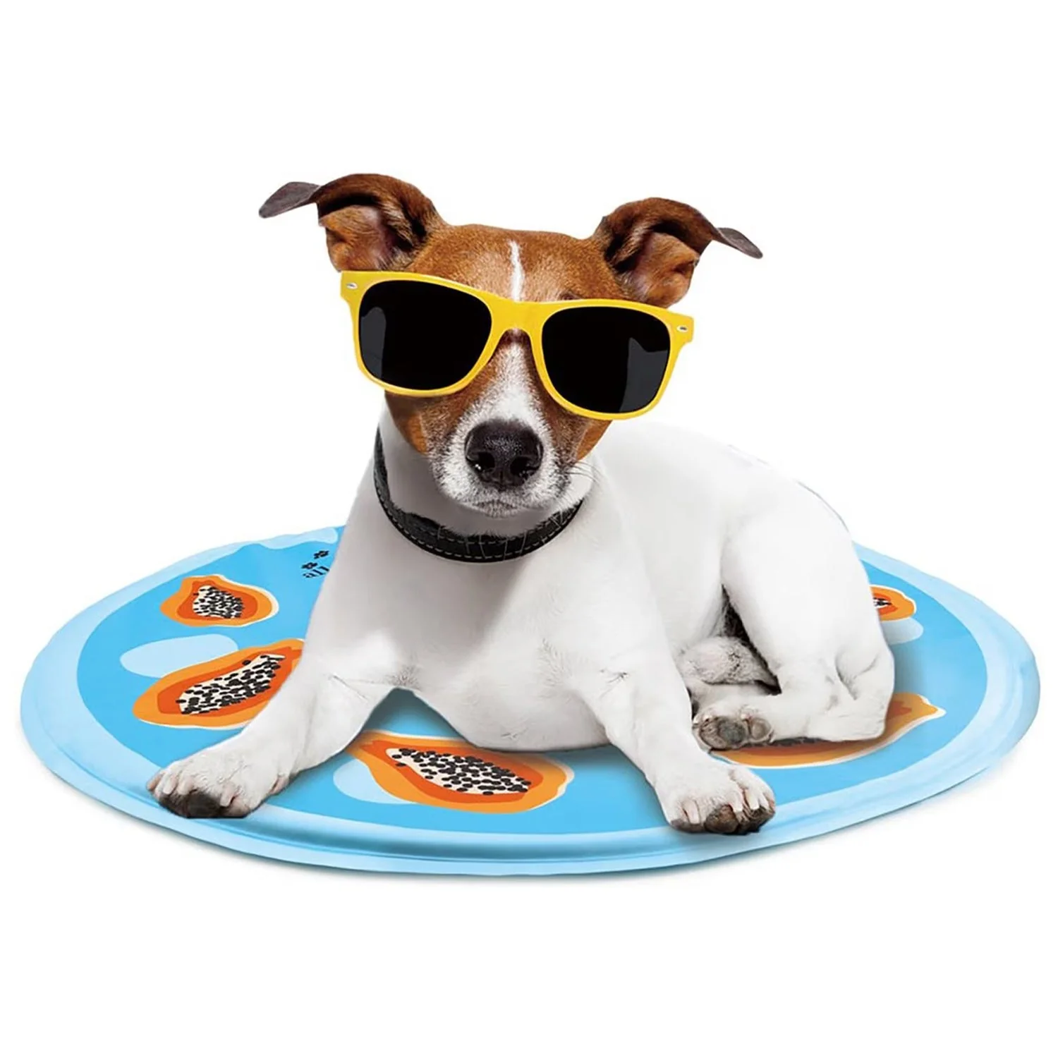 Chill Out - Dog Cooling Mat - Cooling Mat for Summer - Image 15
