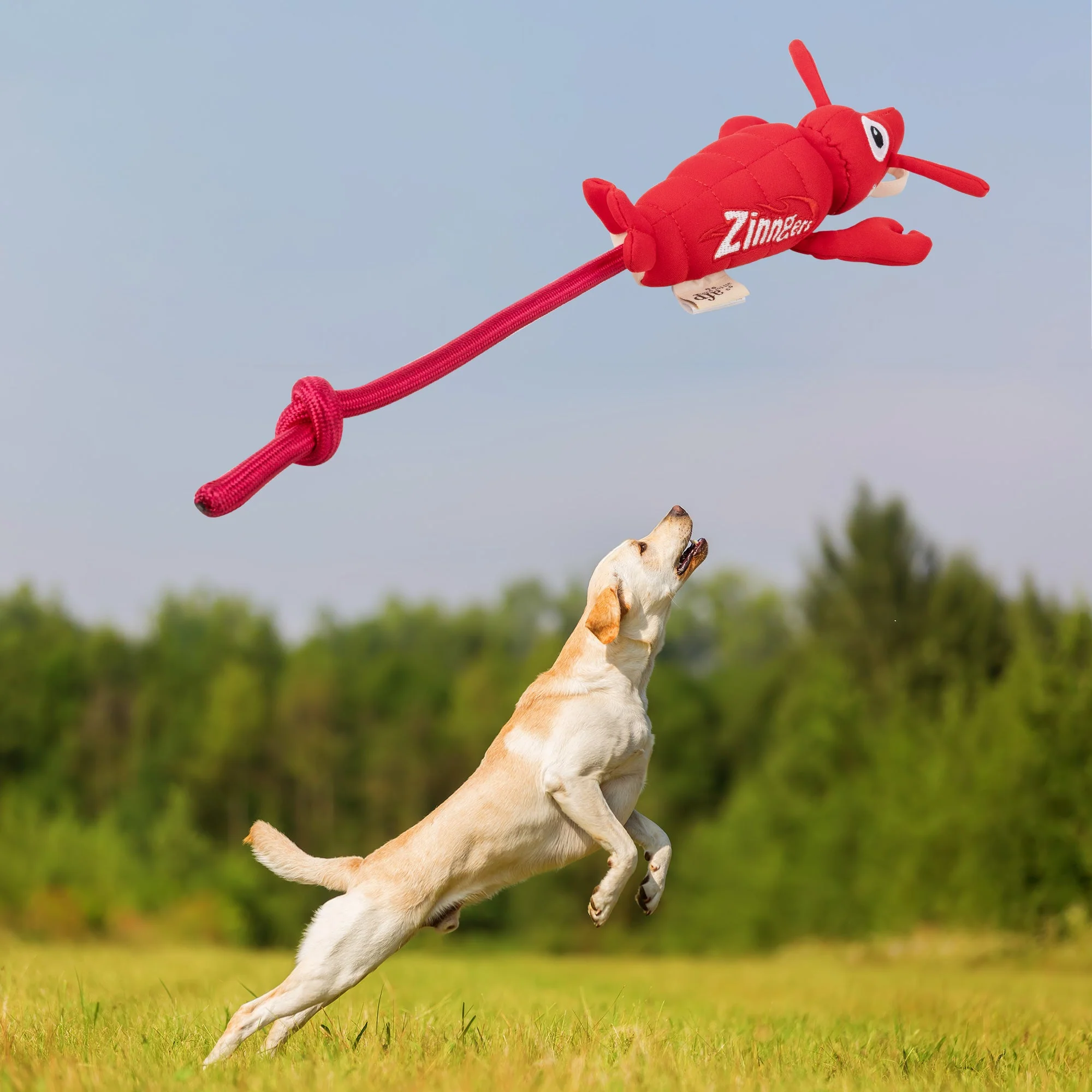 Chill Out - Dog fetch toy - Flying Lobster - Image 2