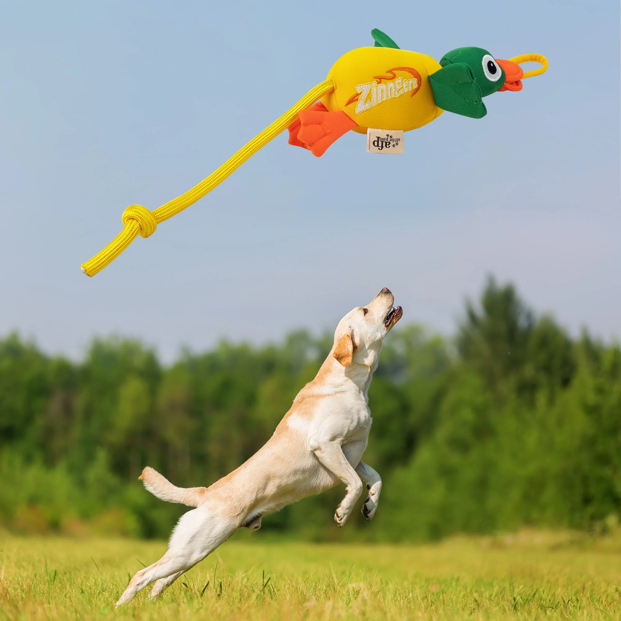 Chill Out - Dog fetch toy - Flying Mallard - Image 2