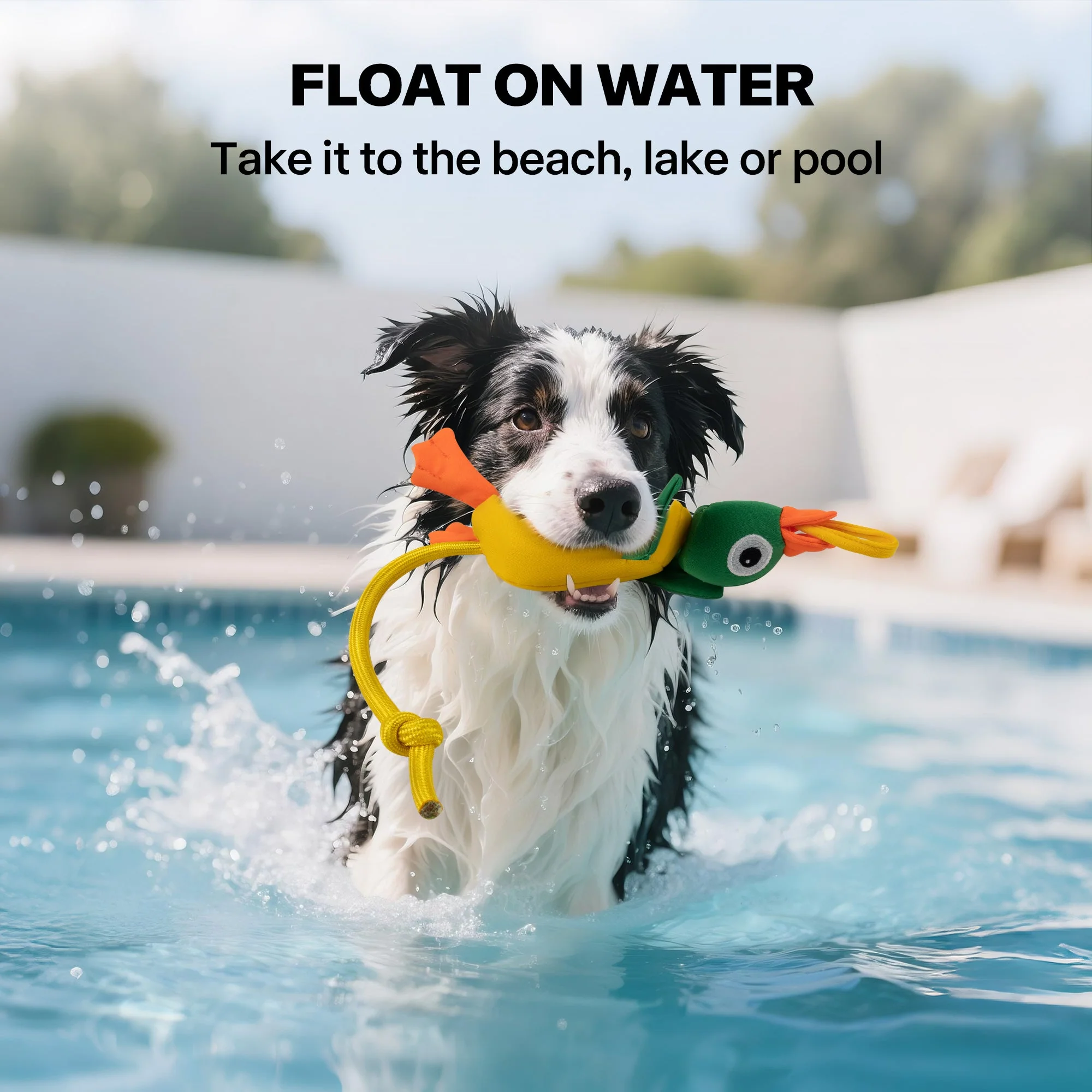 Chill Out - Dog fetch toy - Flying Mallard - Image 4