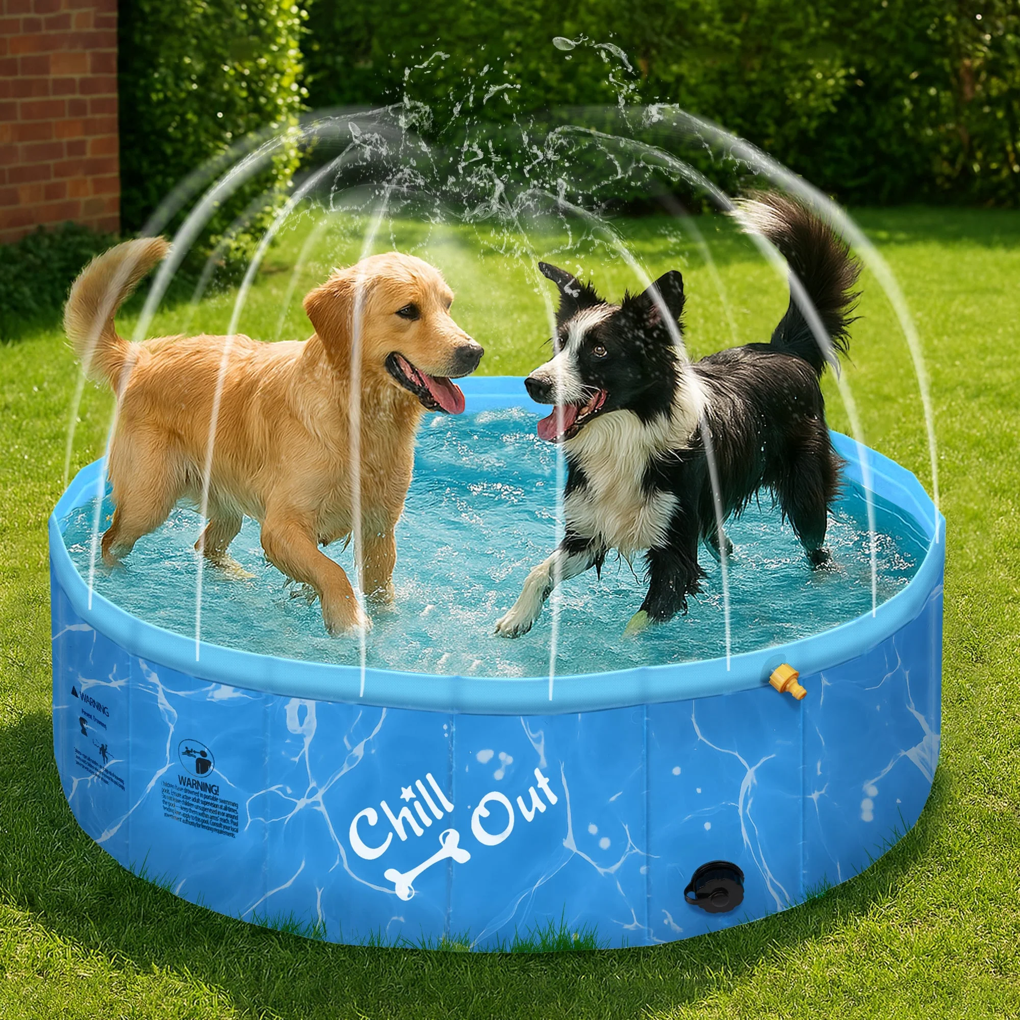Chill Out - Dog Pool - 2-in-1 Foldable Sprinking Pool  for Outdoor Backyard - Image 2