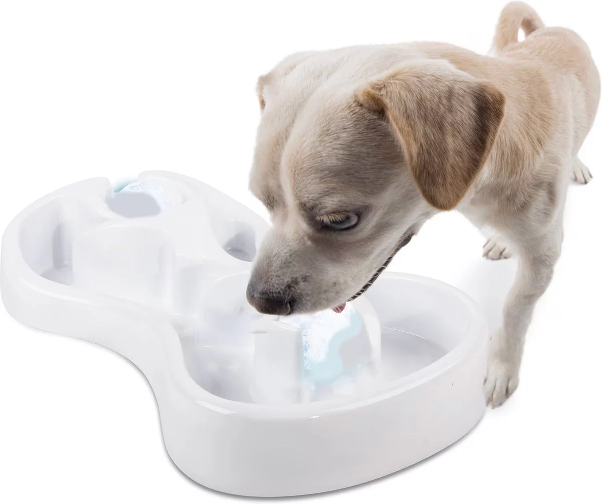 Chill Out - Doy Bowl - Cooling Feast Dog Bowl - Image 6